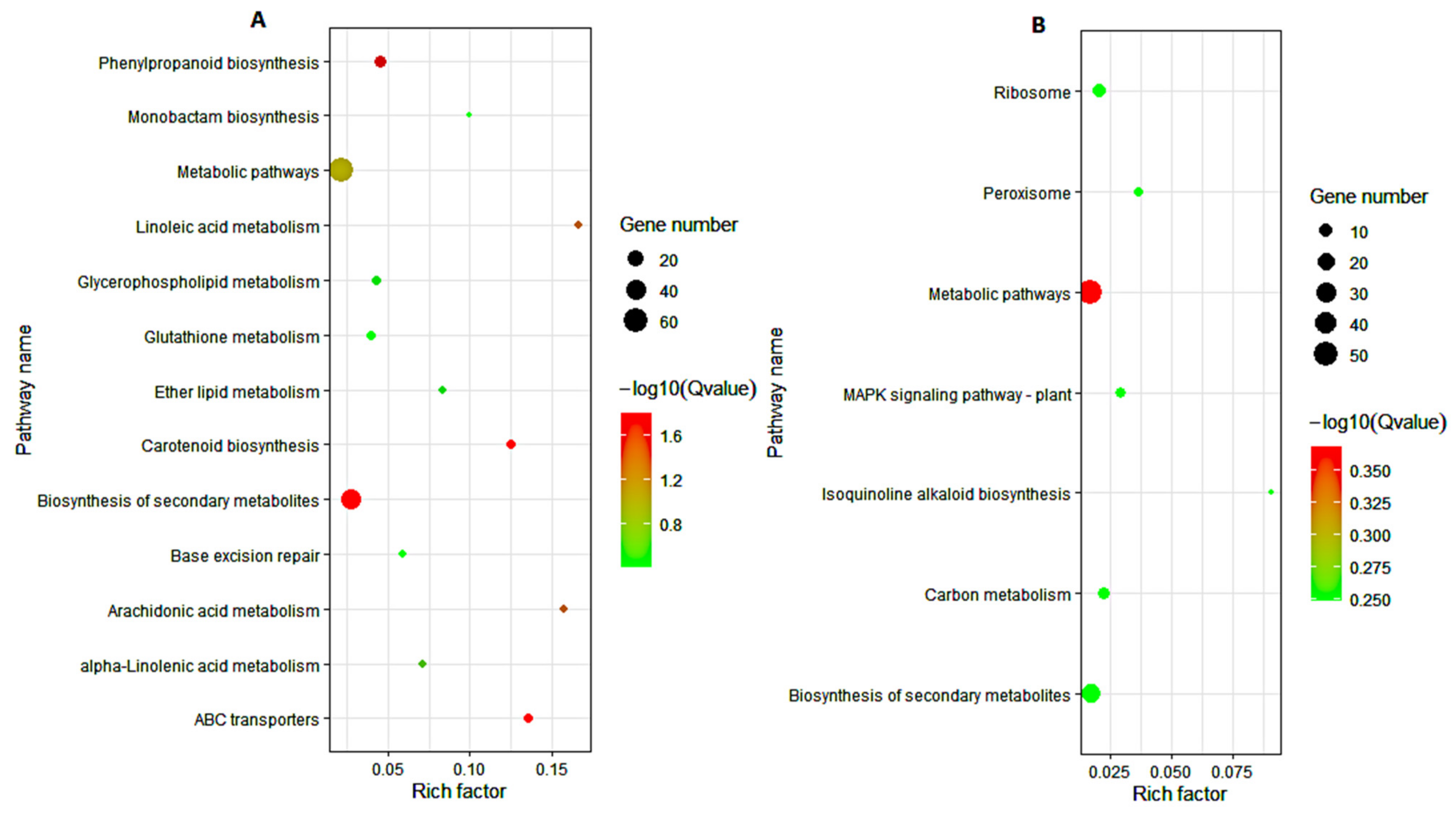 Genes 12 01638 g008 Genes 12 01638 g008