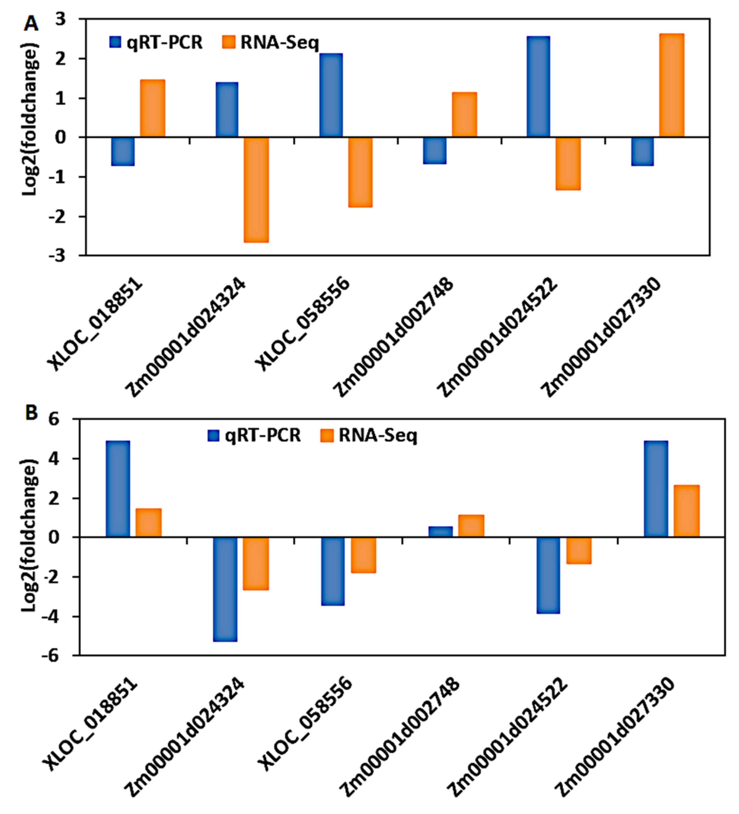 Genes 12 01638 g010 Genes 12 01638 g010