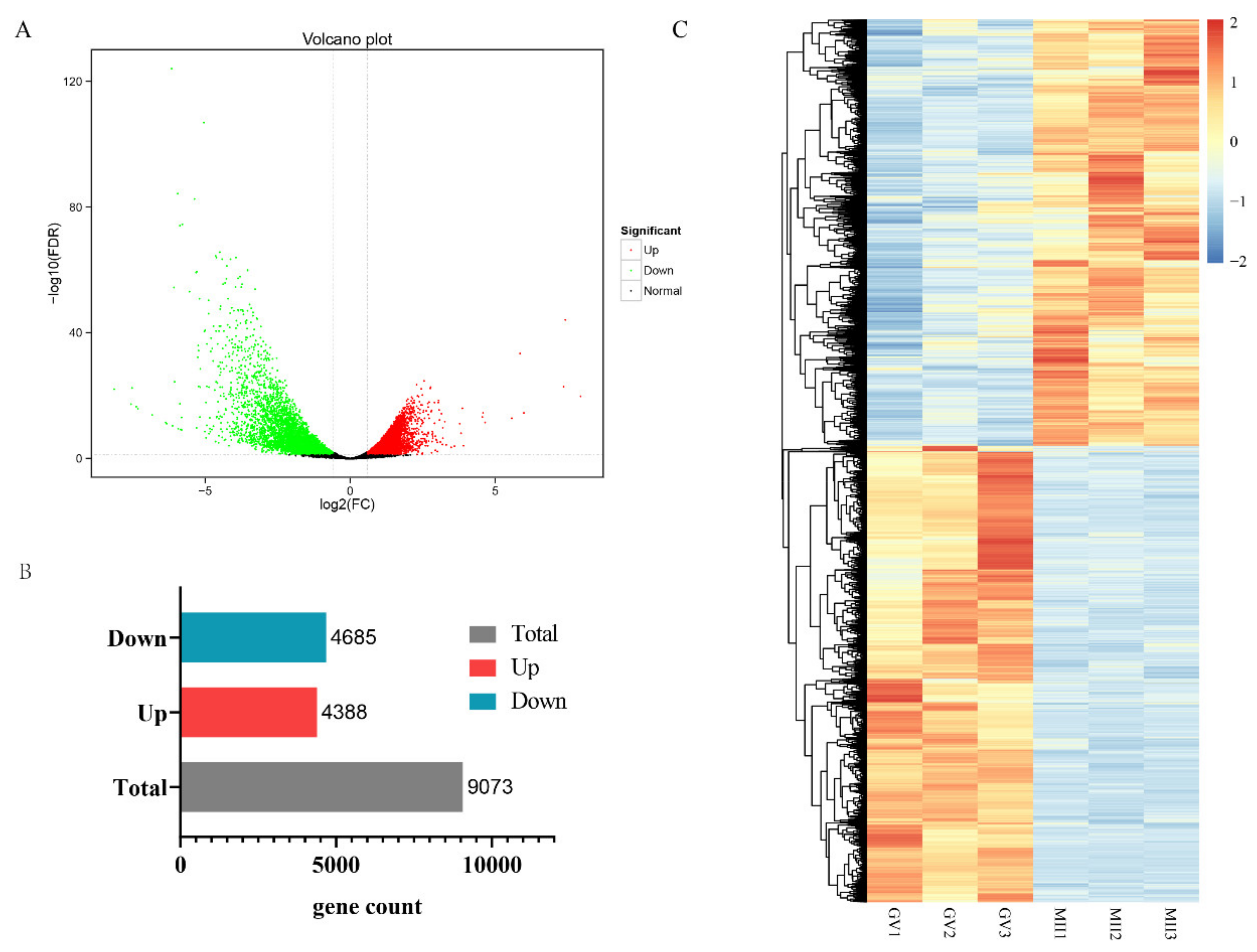 Genes 12 01640 g002