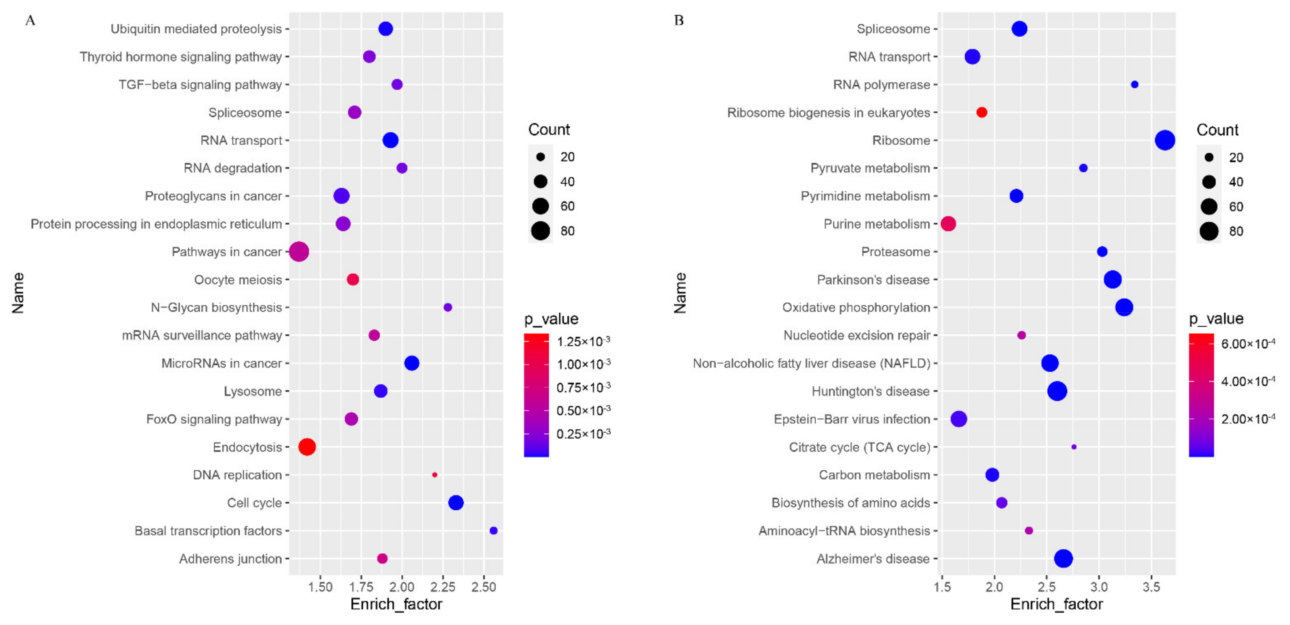 Genes 12 01640 g004