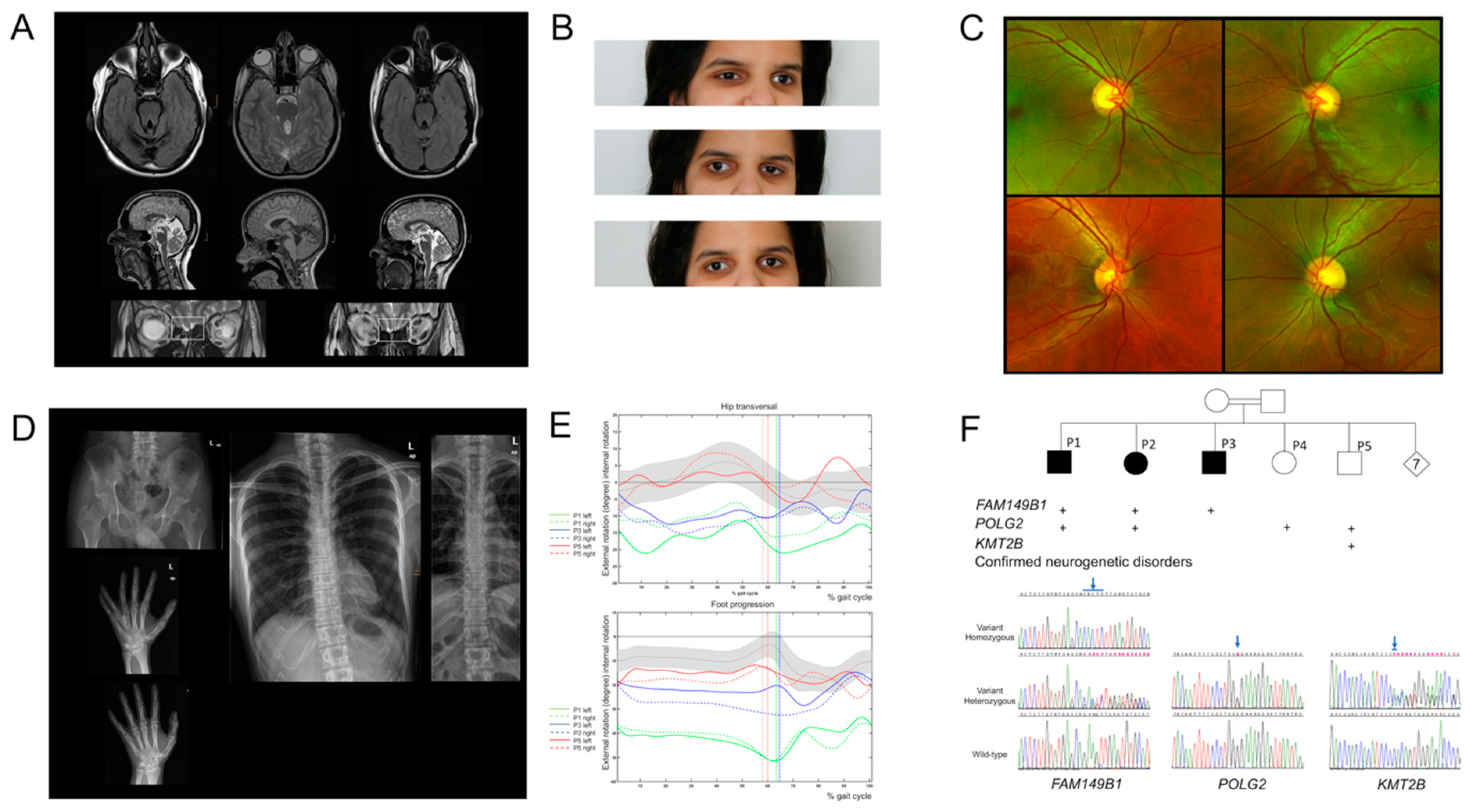 Genes 12 01648 g001