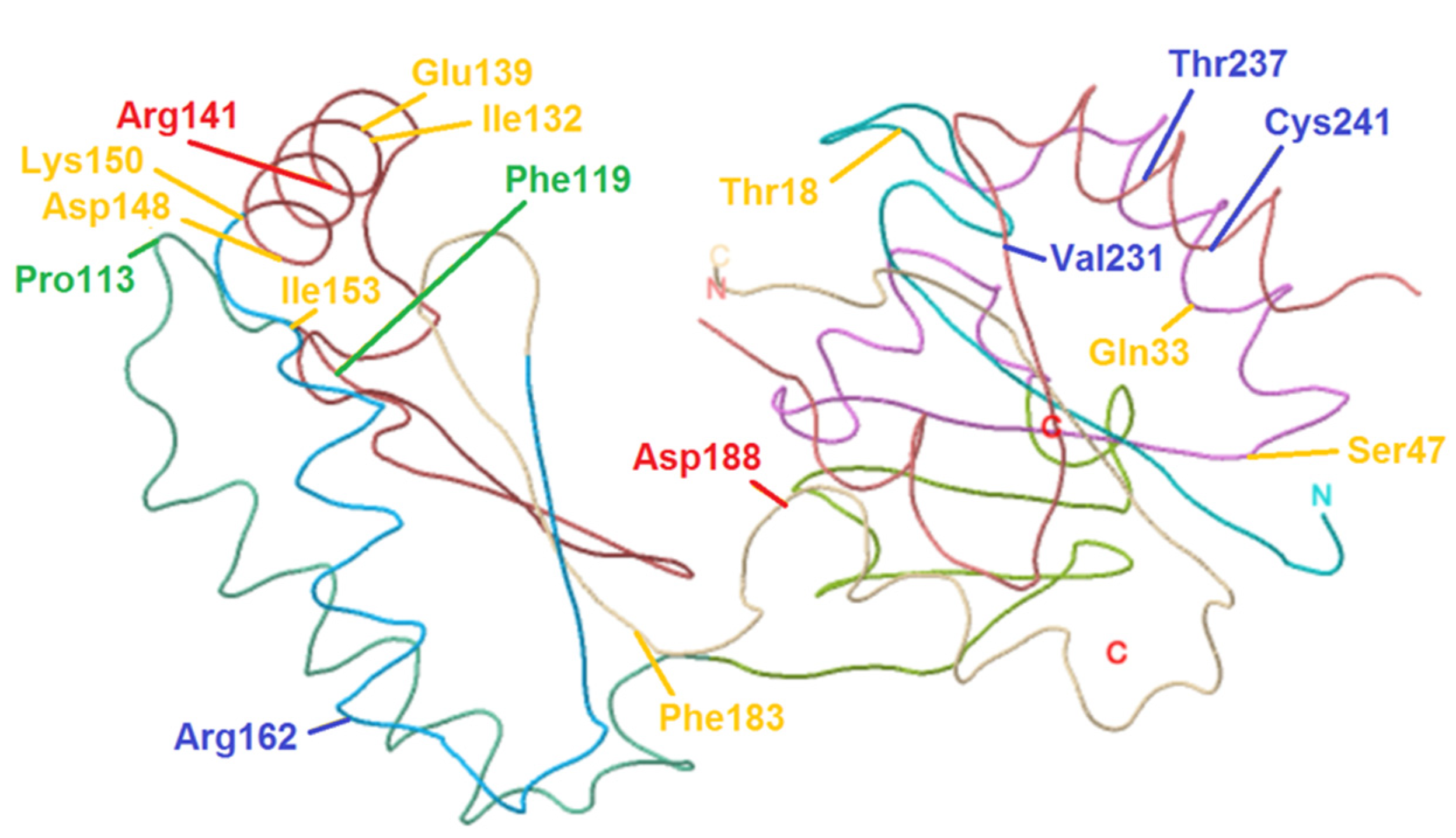 Genes 12 01658 g001 550