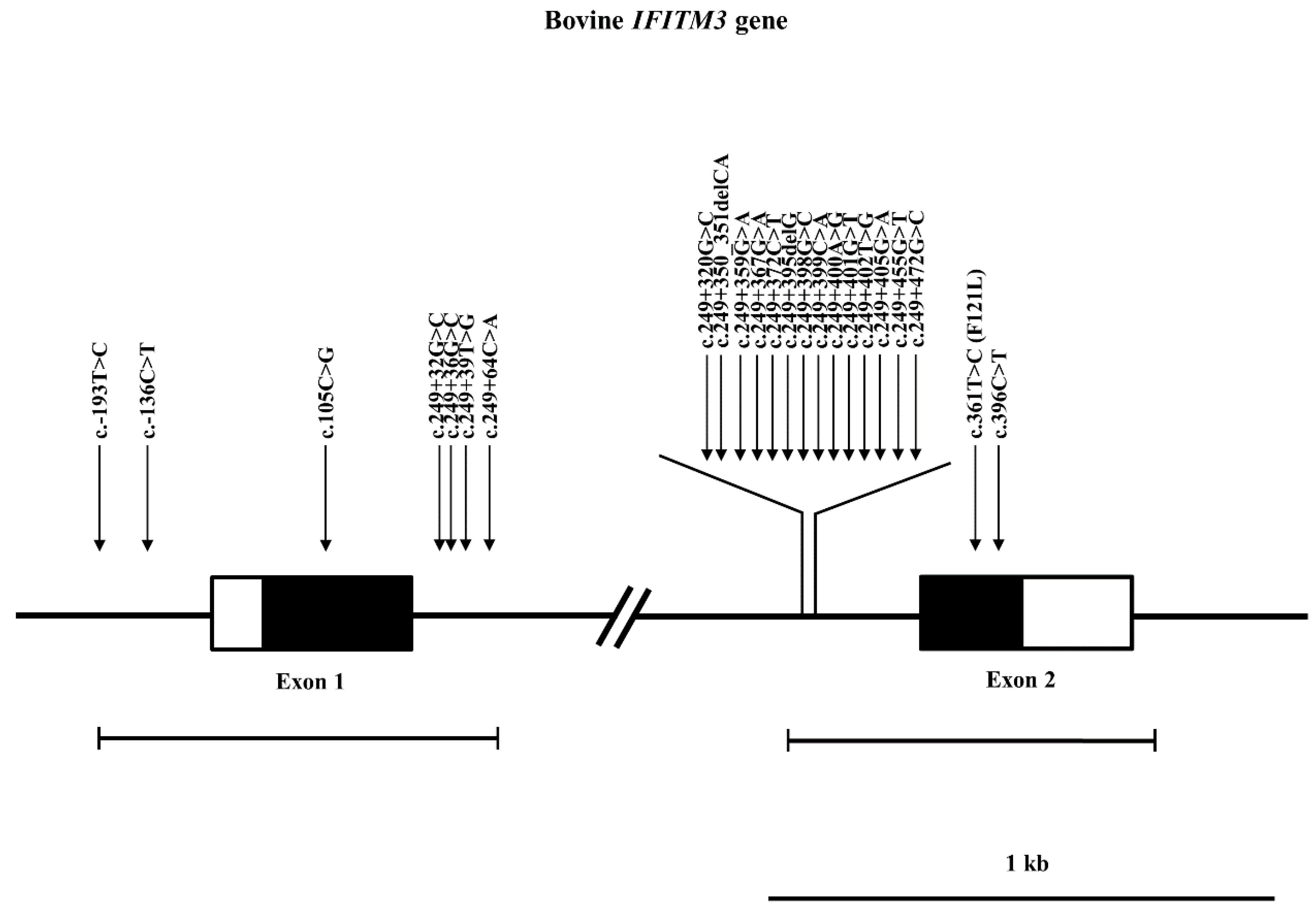 Genes 12 01662 g001 550