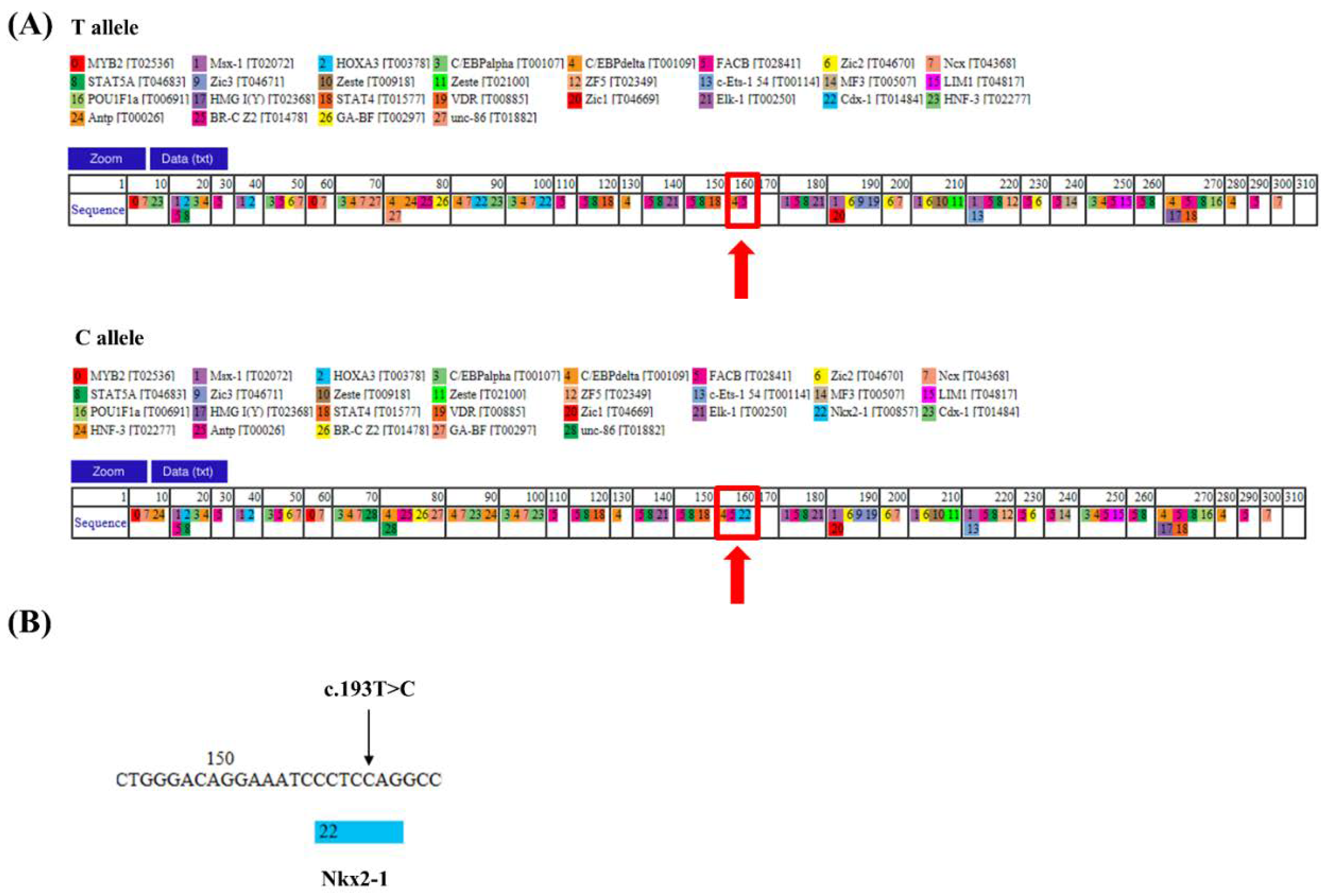 Genes 12 01662 g002 550