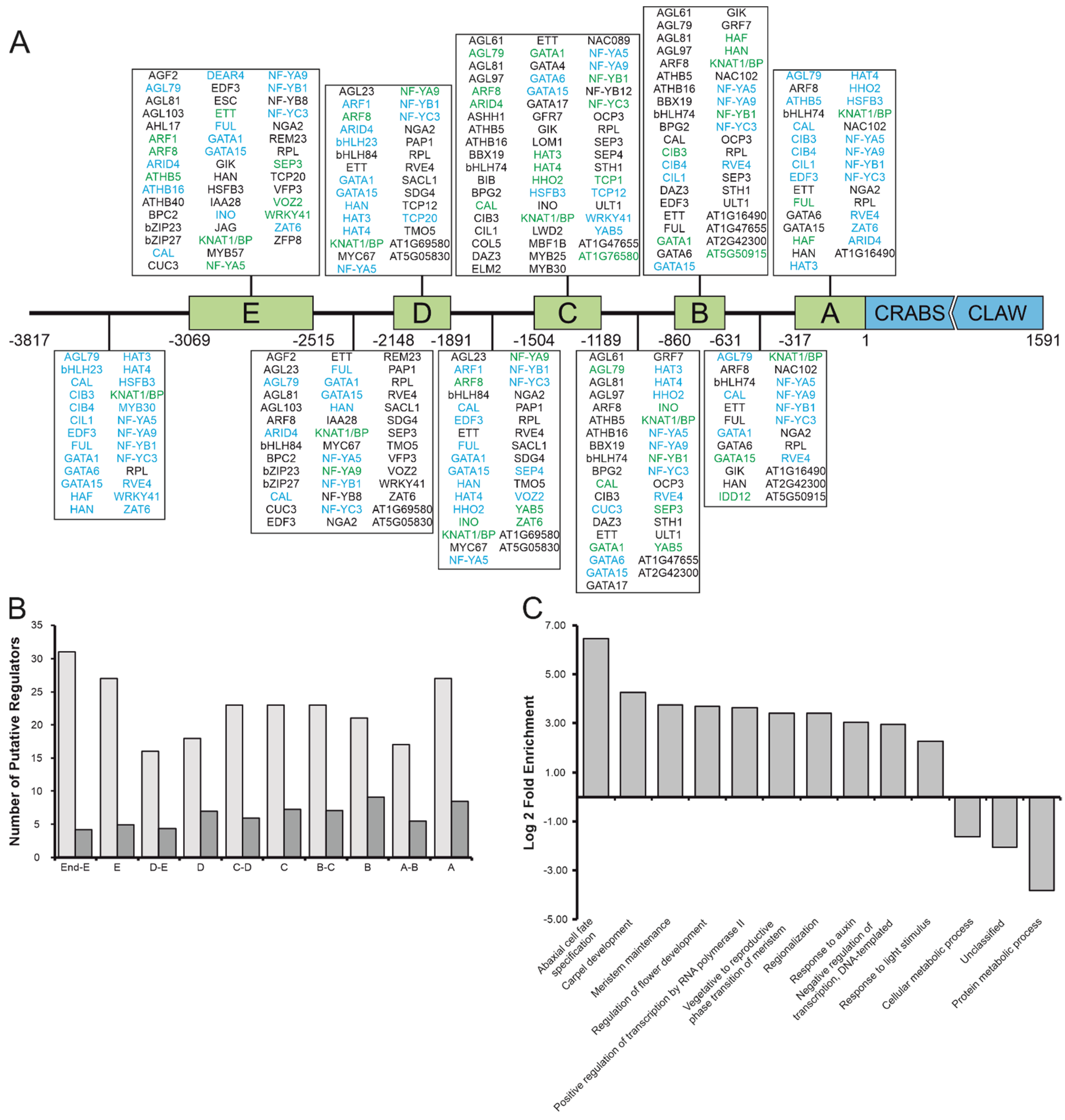 Genes 12 01663 g002 Genes 12 01663 g002