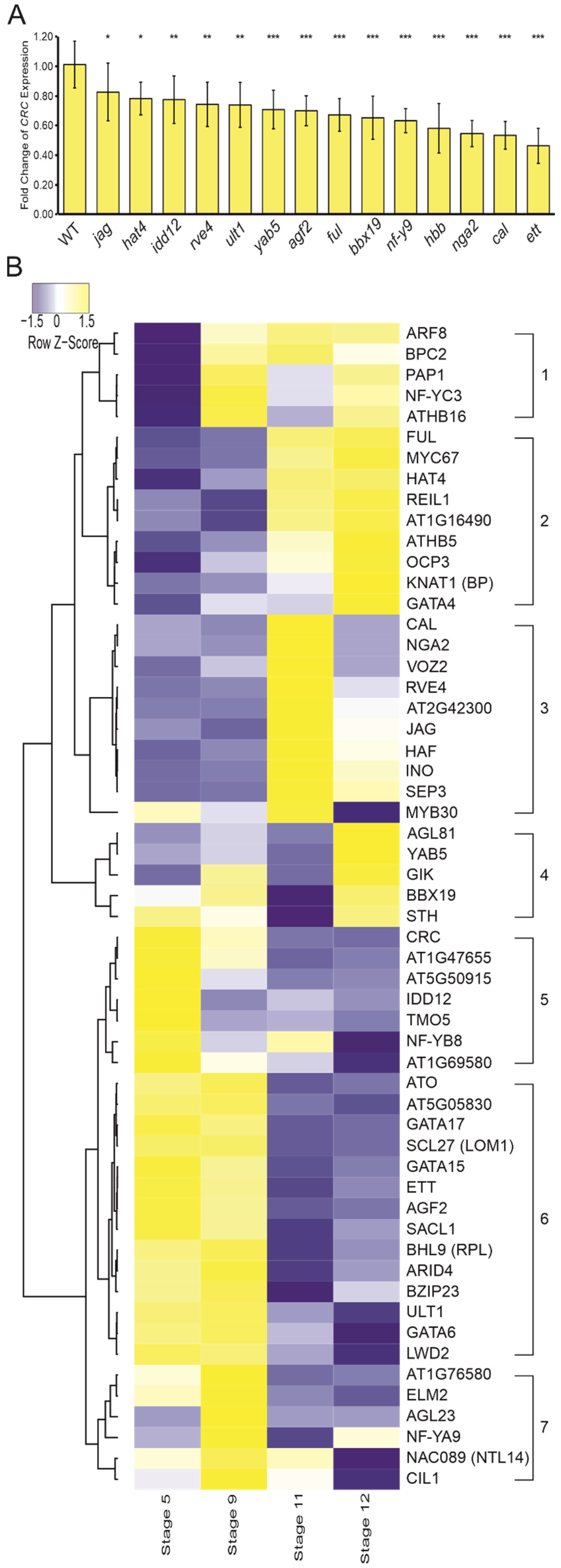 Genes 12 01663 g003 Genes 12 01663 g003