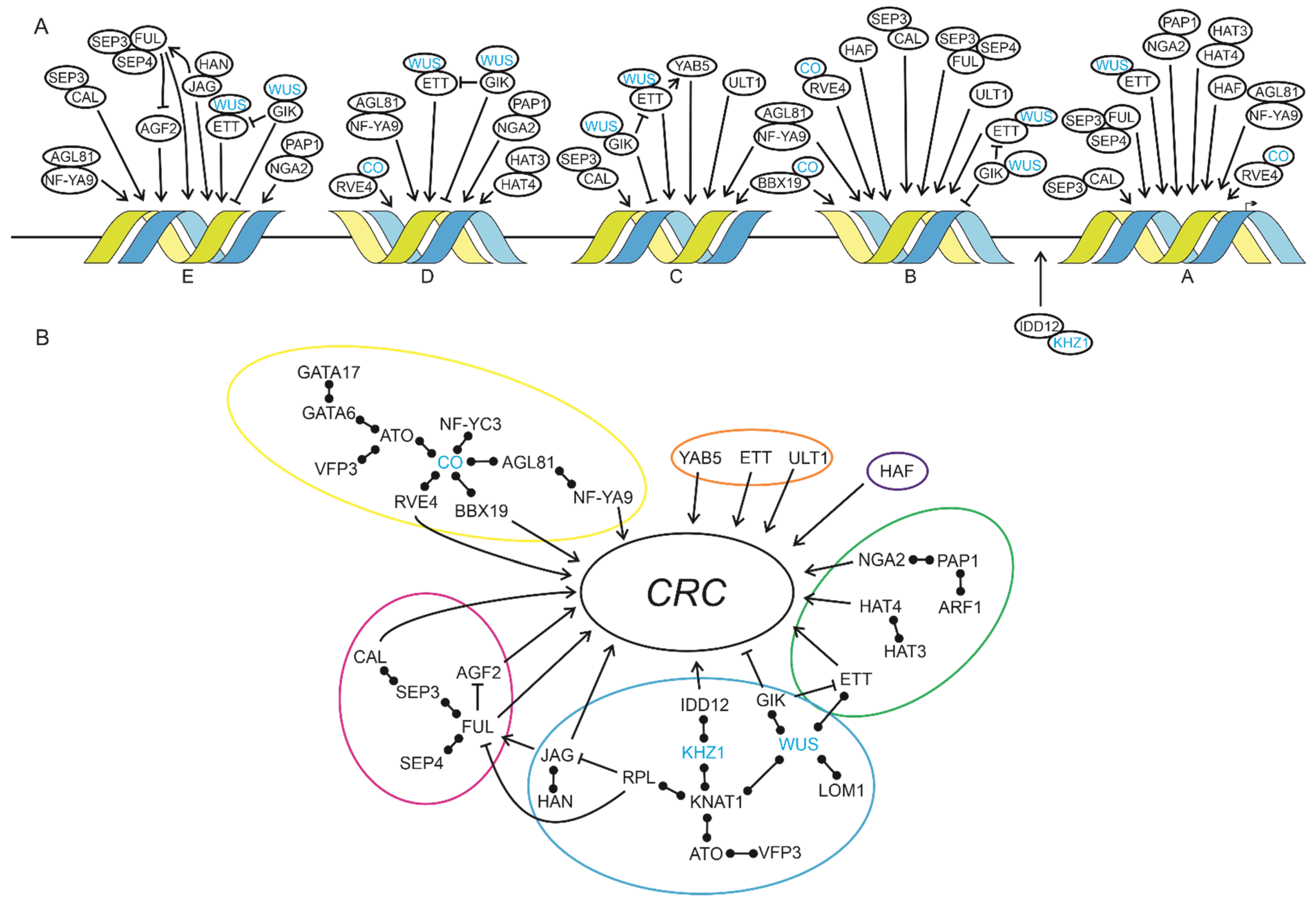 Genes 12 01663 g004 Genes 12 01663 g004