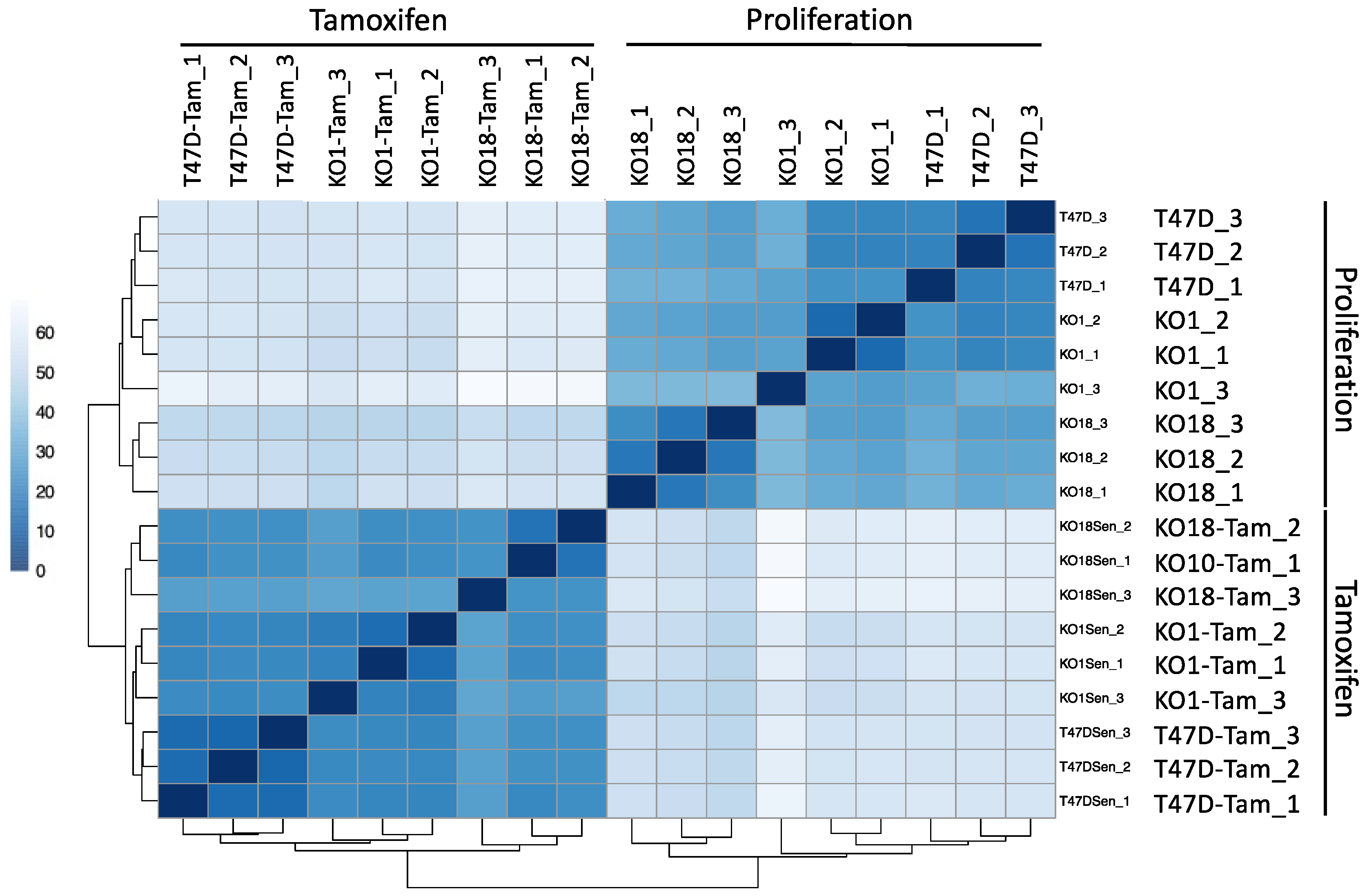 Genes 12 01665 g009