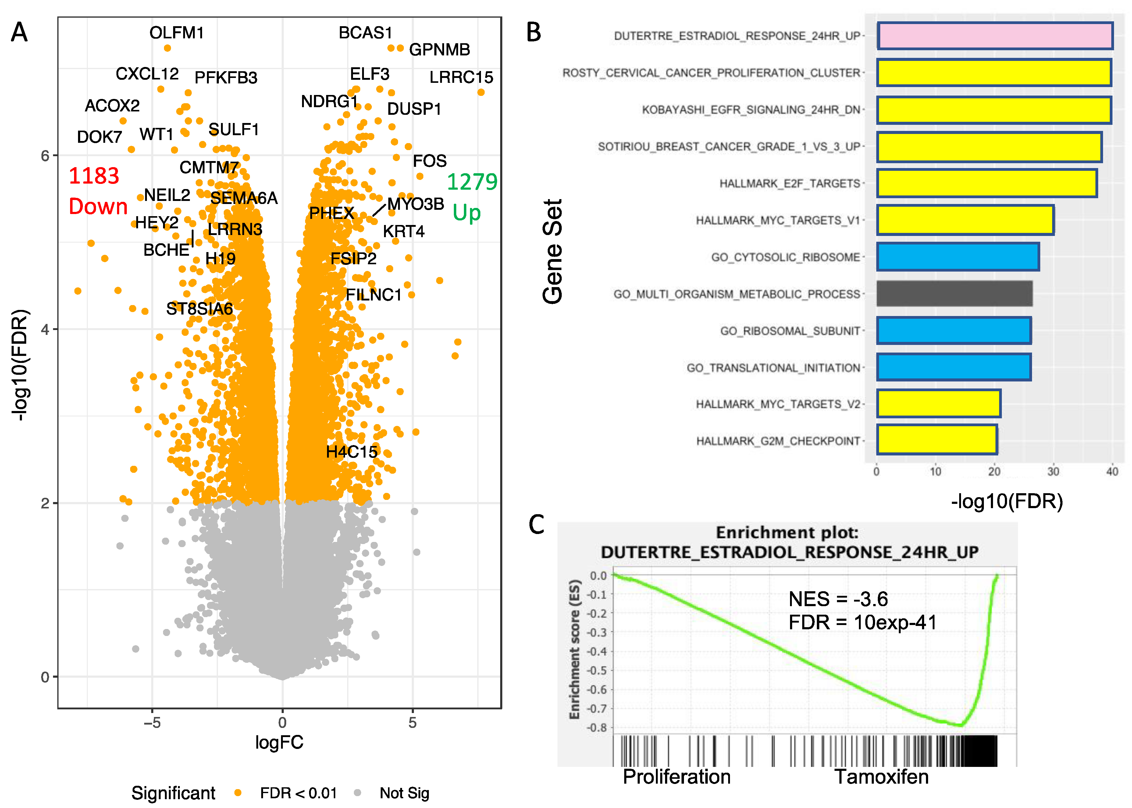 Genes 12 01665 g010