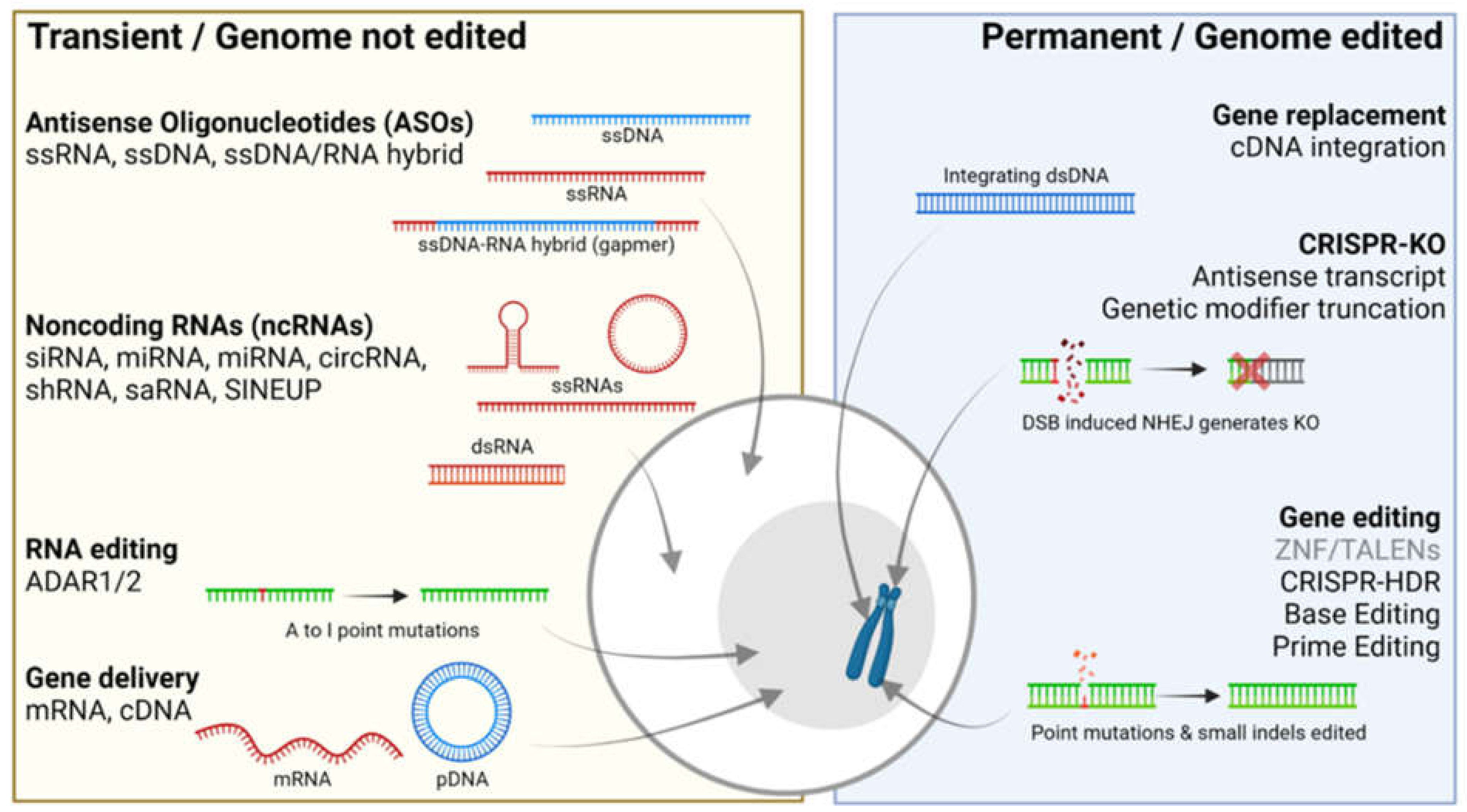 Genes 12 01667 g001