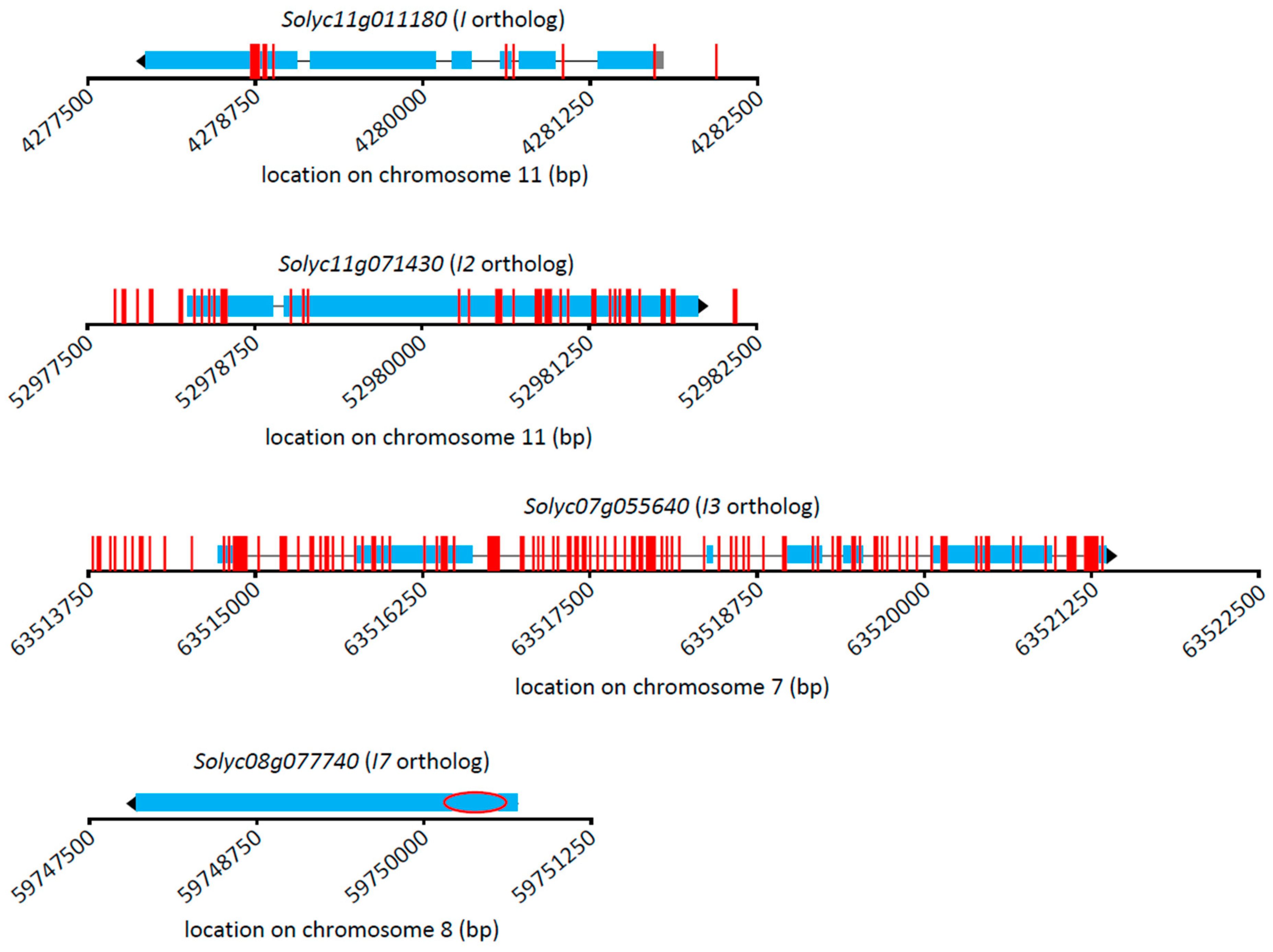 Genes 12 01673 g003 550