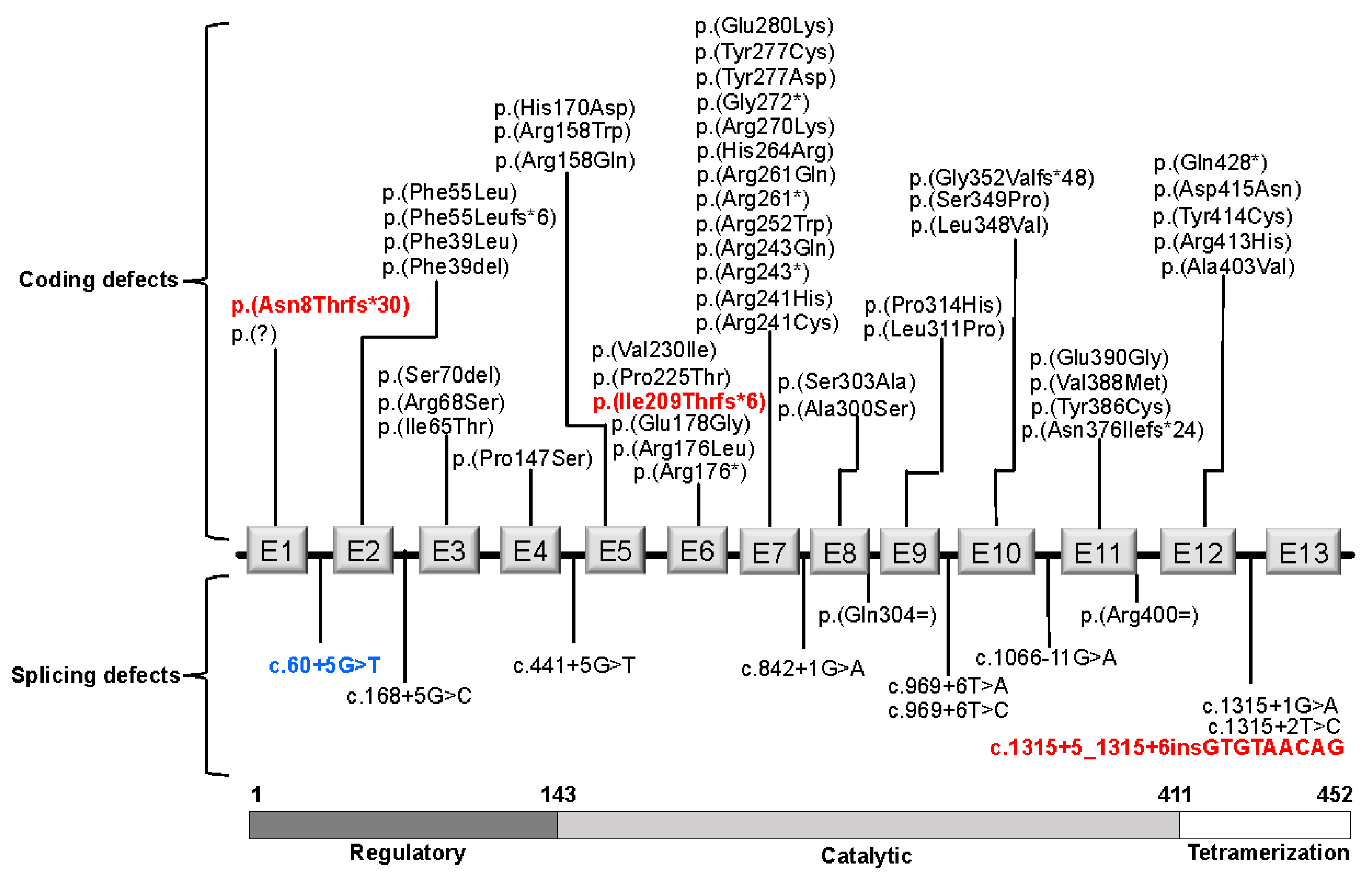 Genes 12 01676 g003 Genes 12 01676 g003