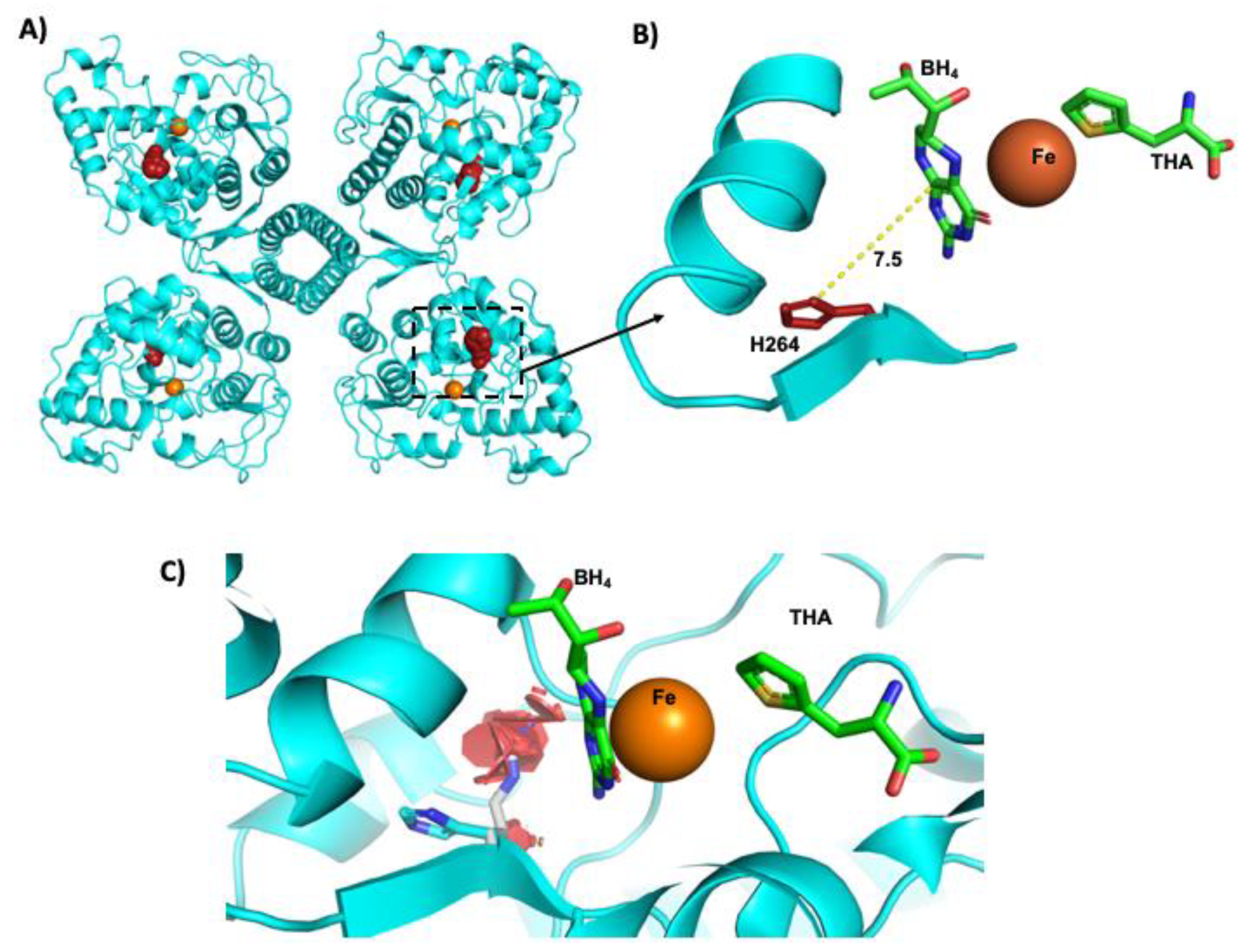 Genes 12 01676 g005 Genes 12 01676 g005