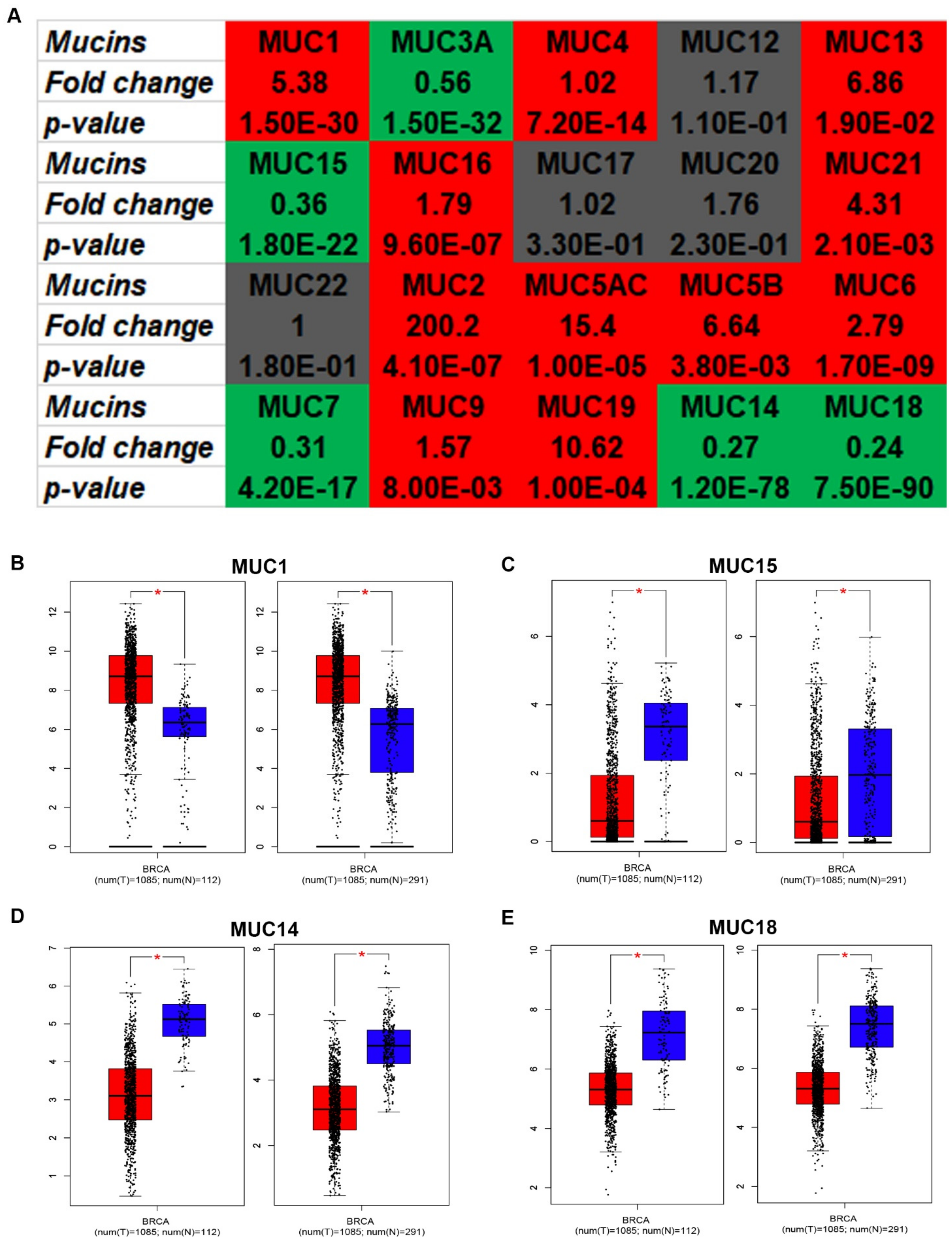 Genes 12 01677 g001 550