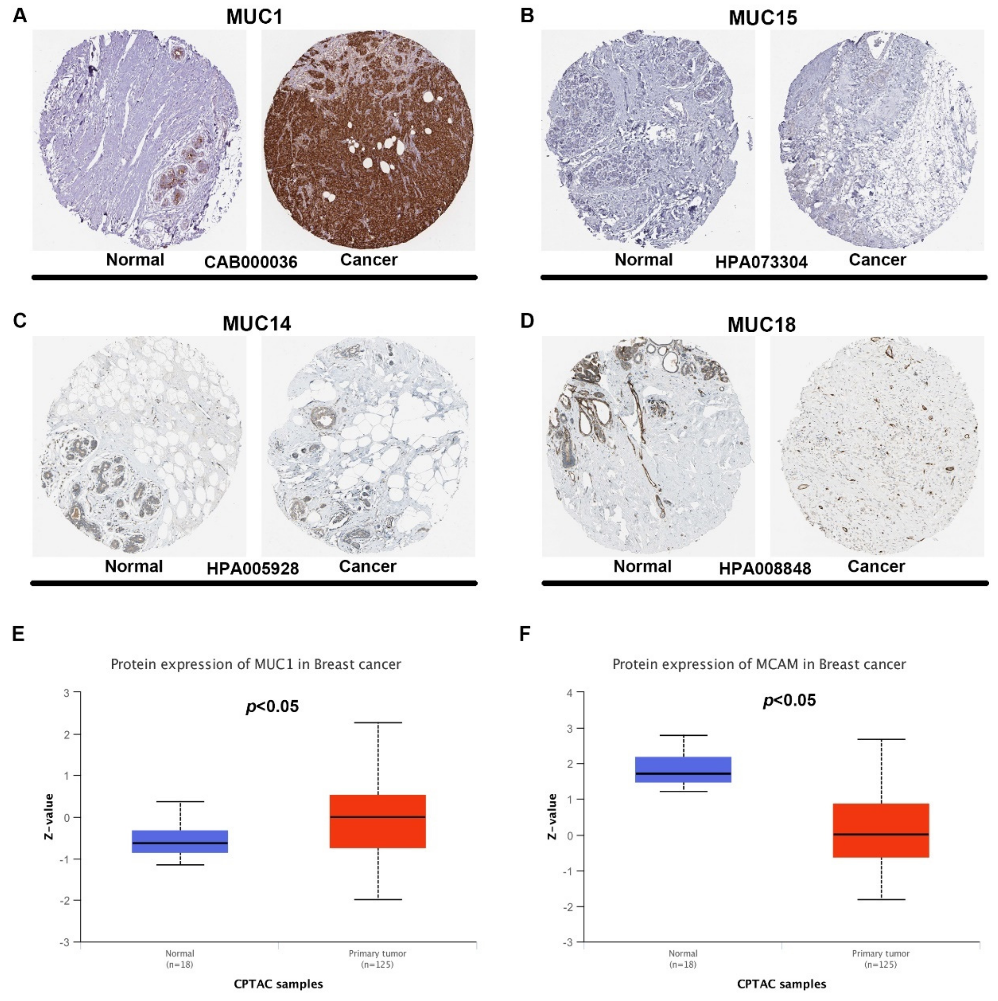Genes 12 01677 g002 550