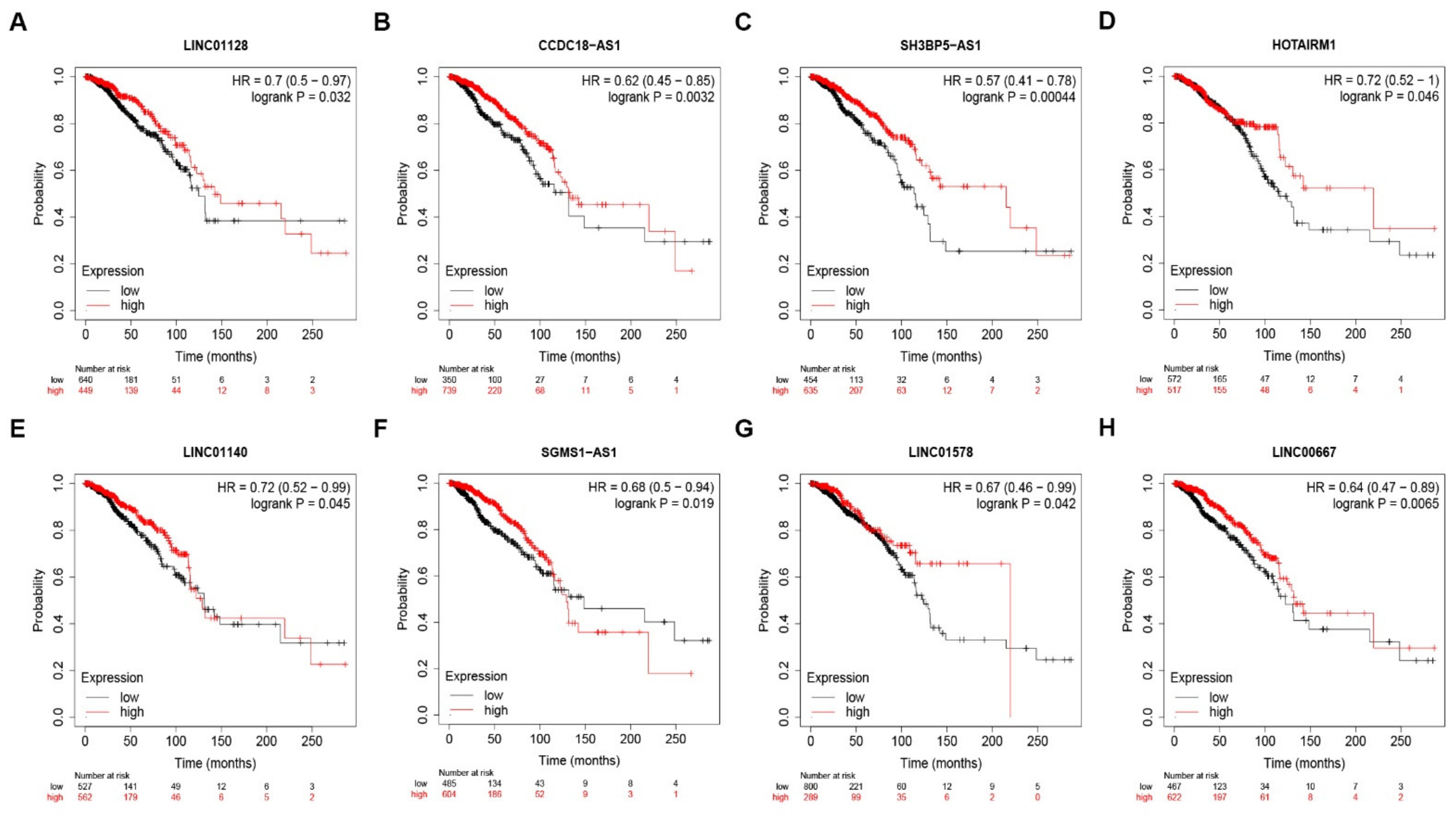 Genes 12 01677 g007 550