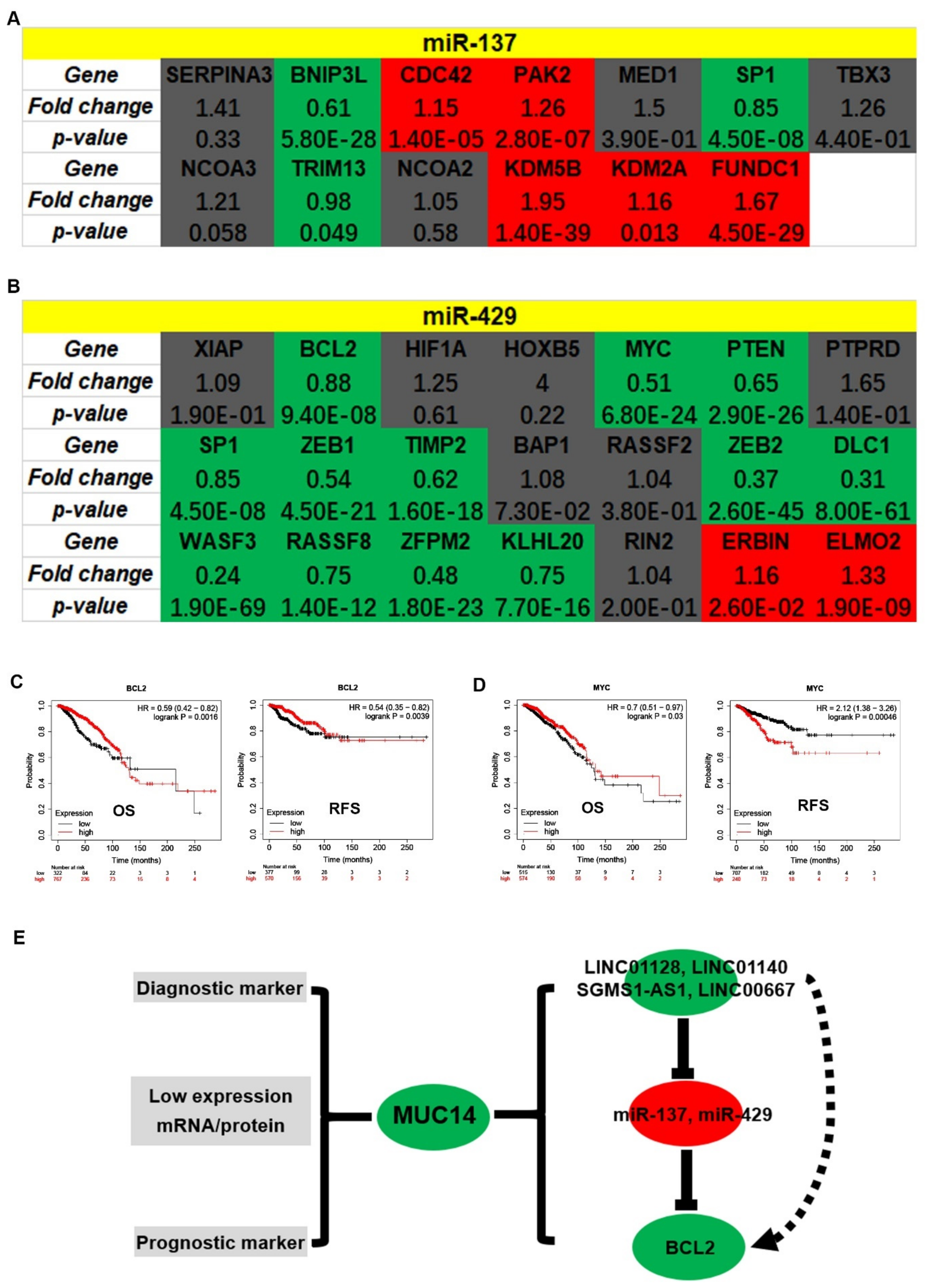 Genes 12 01677 g009 550