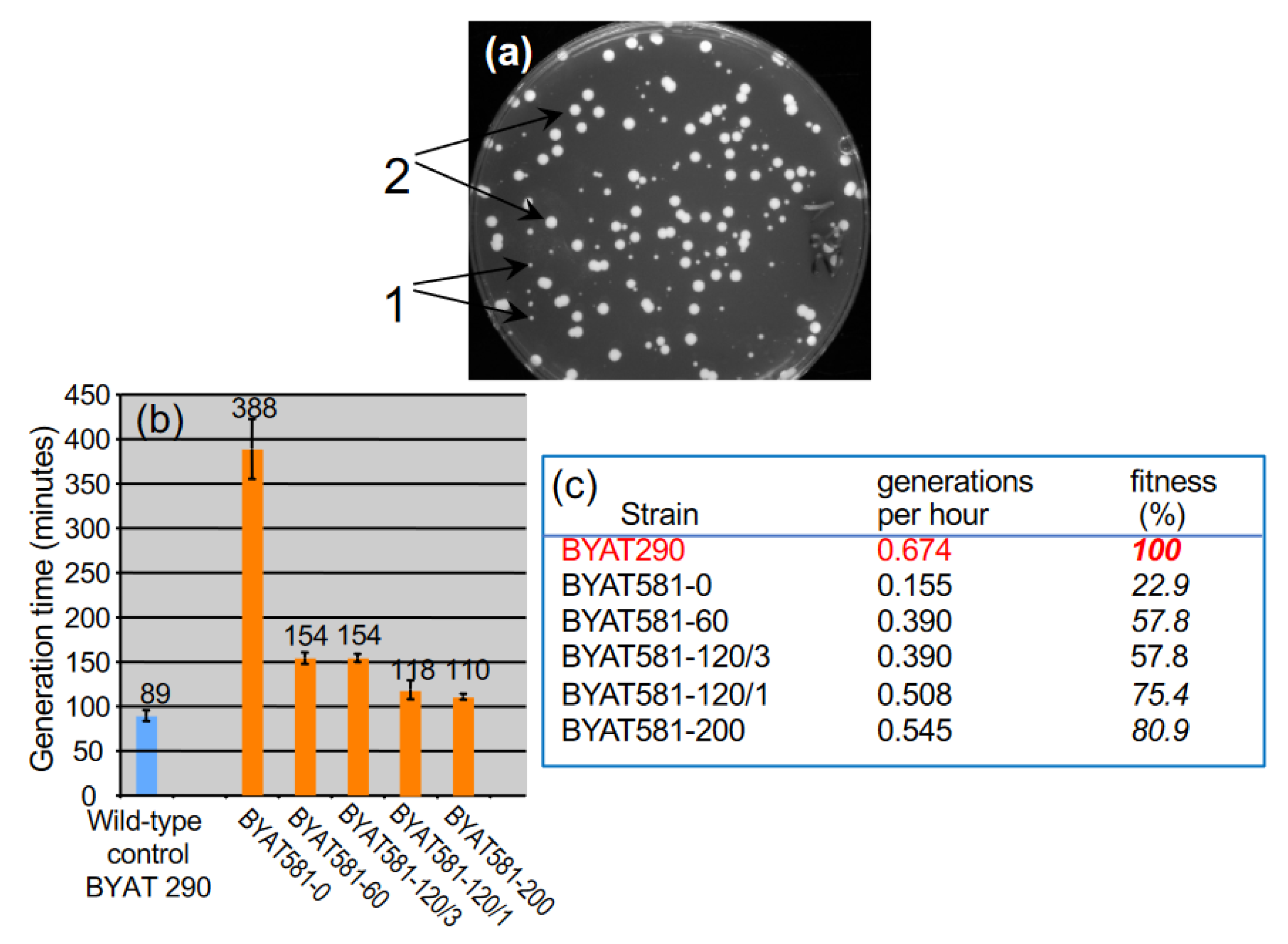 Genes 12 01678 g001 550