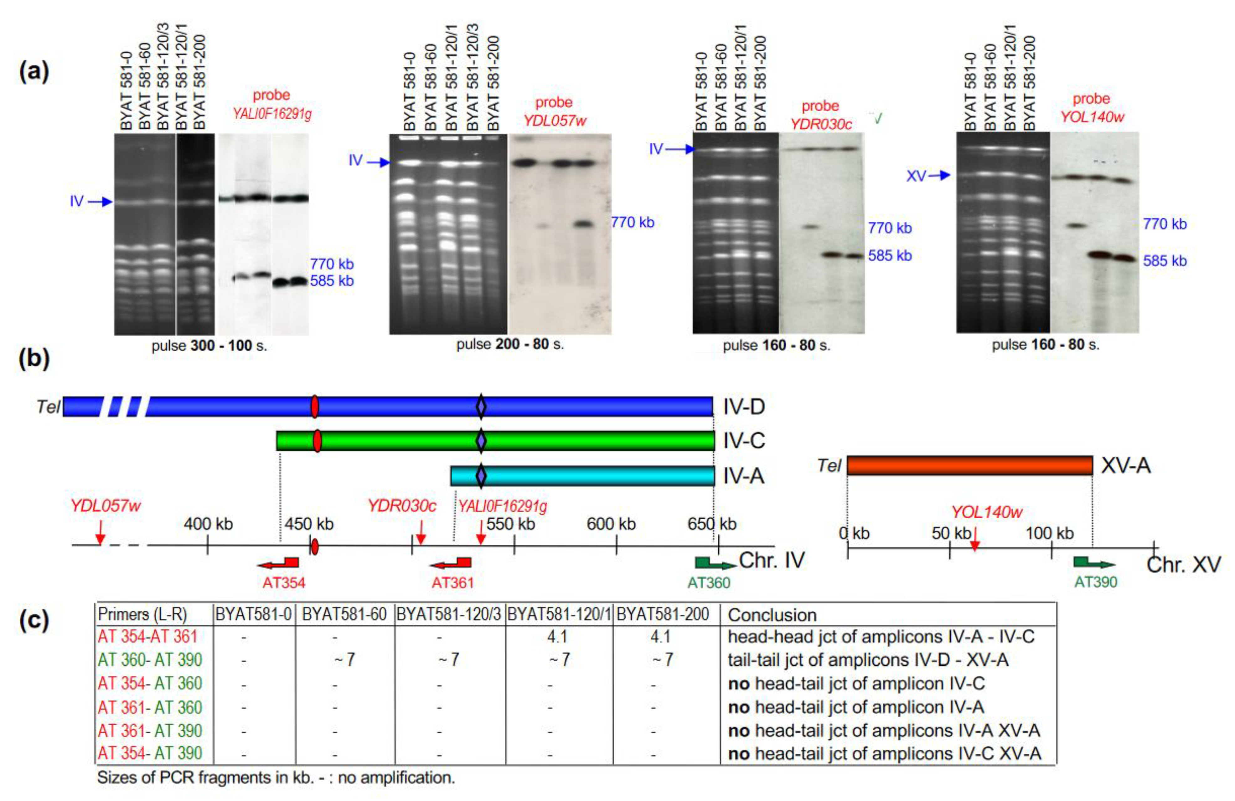Genes 12 01678 g003 550