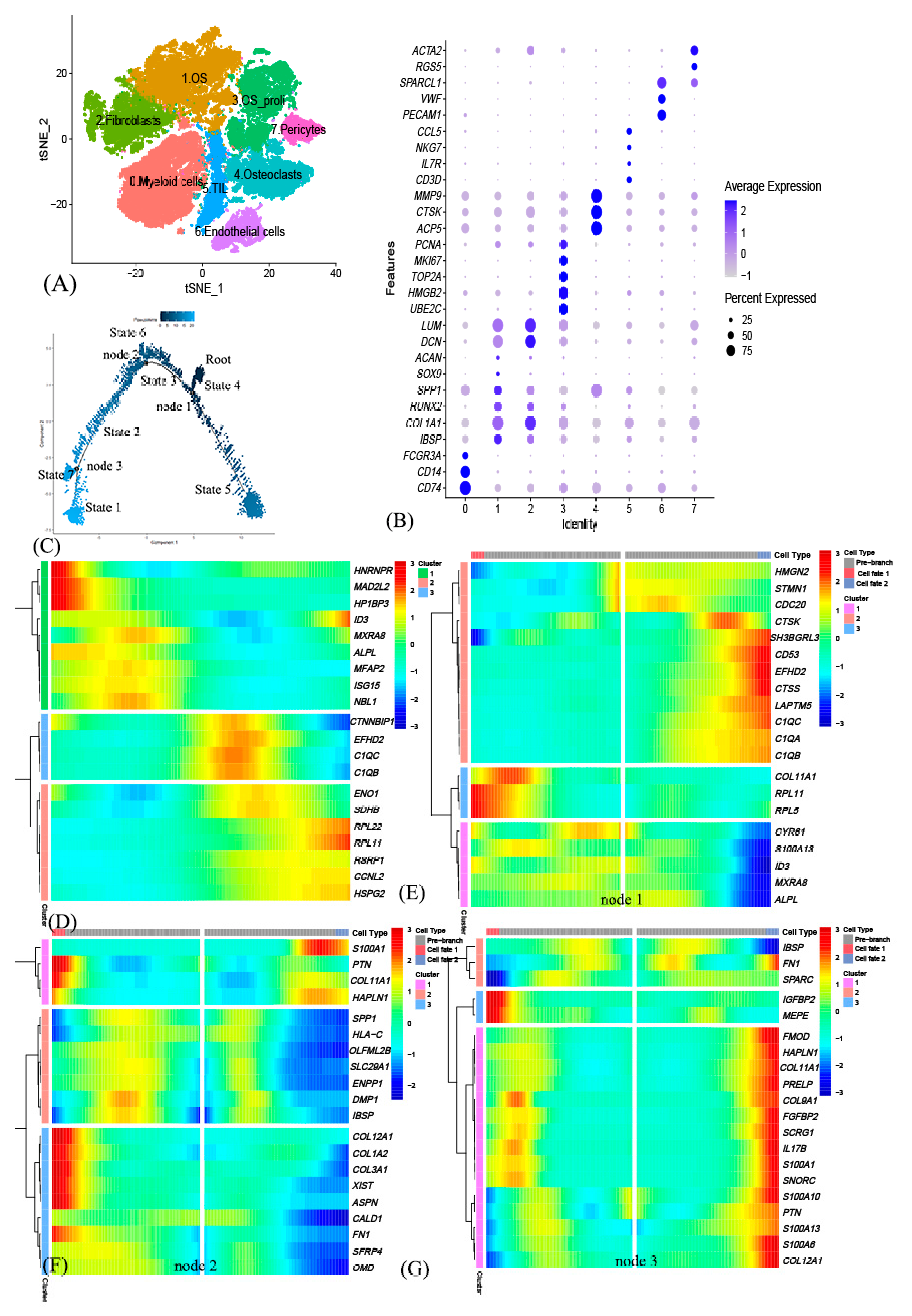 Genes 12 01685 g001 550