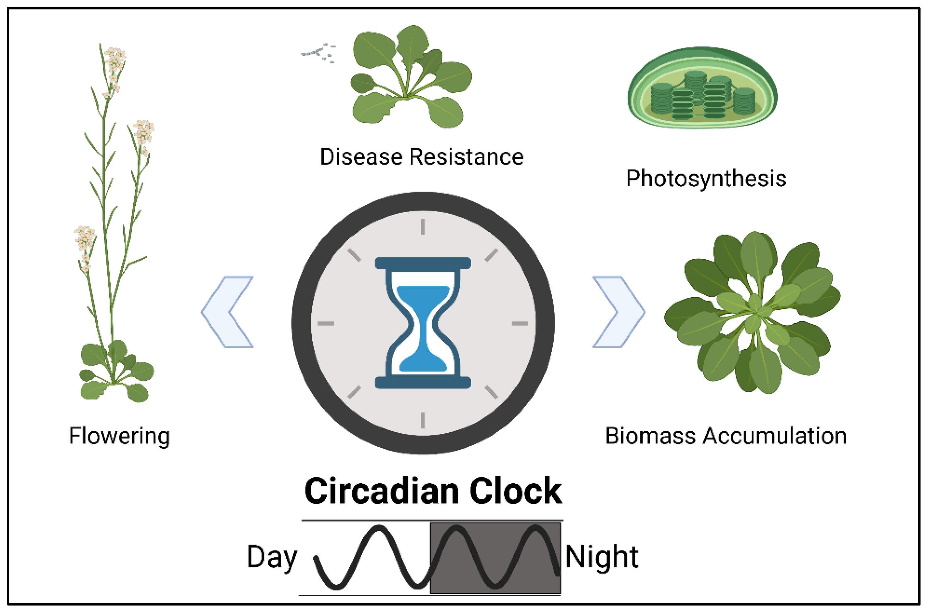 Genes 12 01688 g004 Genes 12 01688 g004