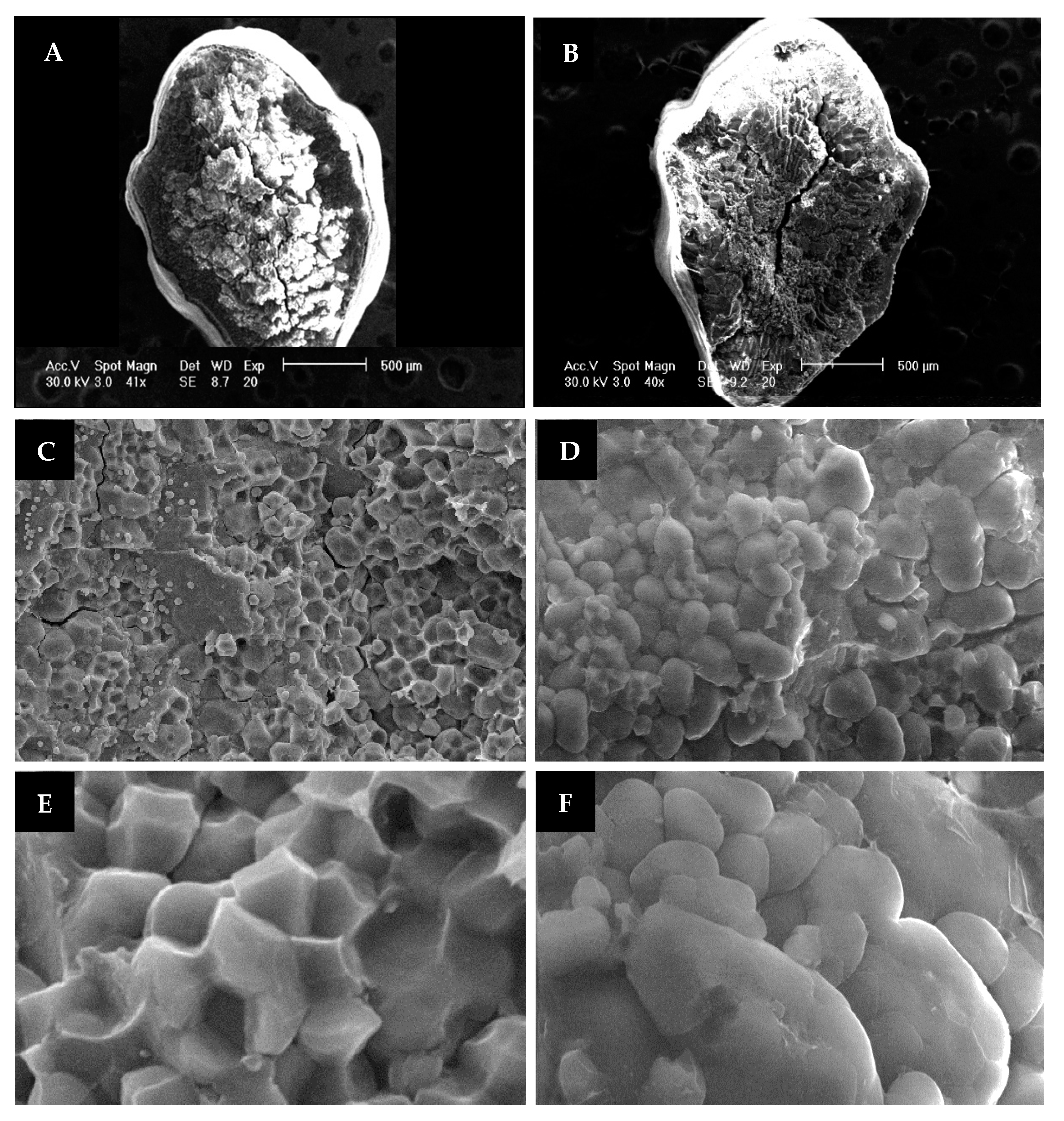 Genes 12 01690 g002 Genes 12 01690 g002
