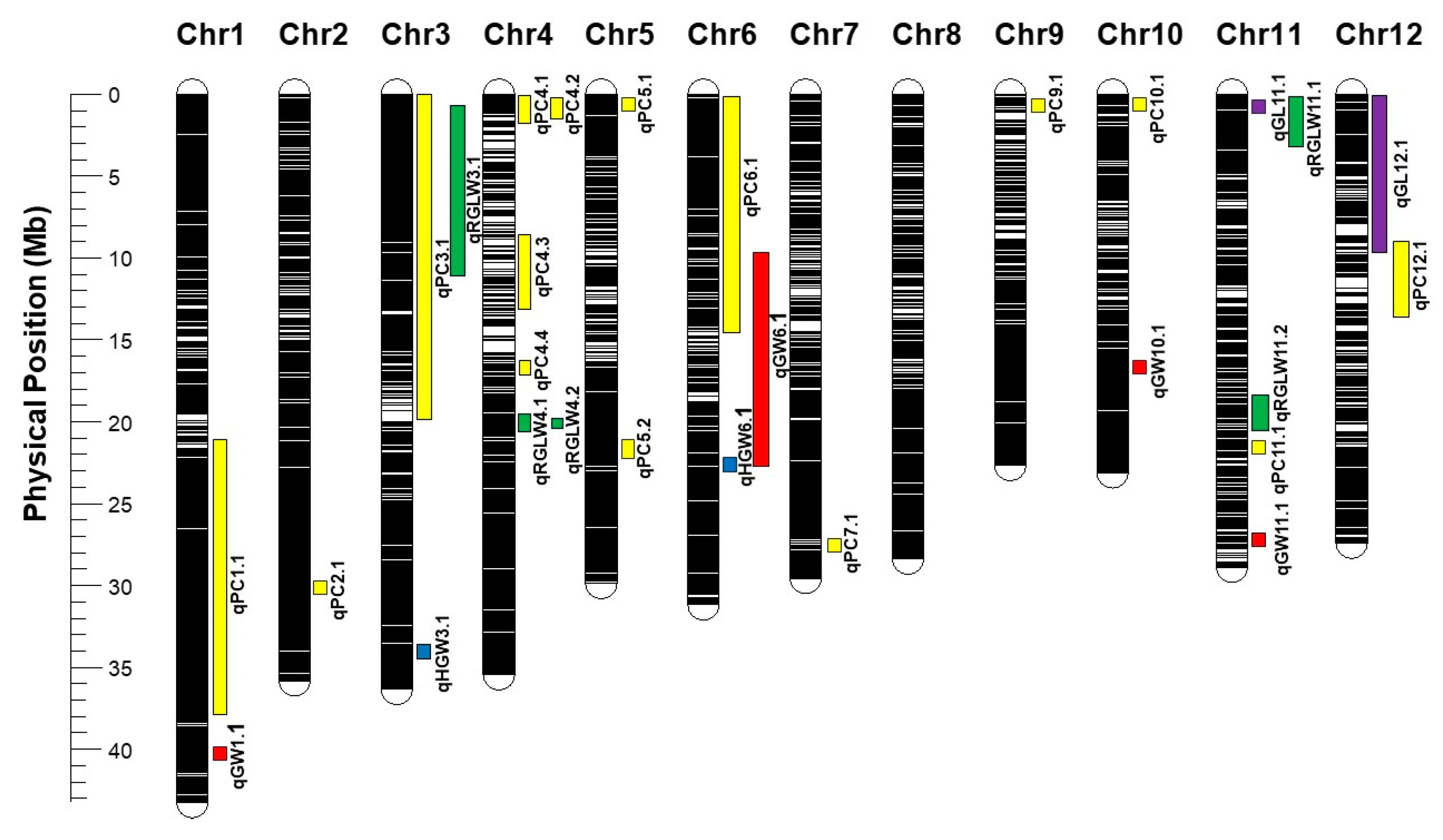 Genes 12 01690 g003 Genes 12 01690 g003