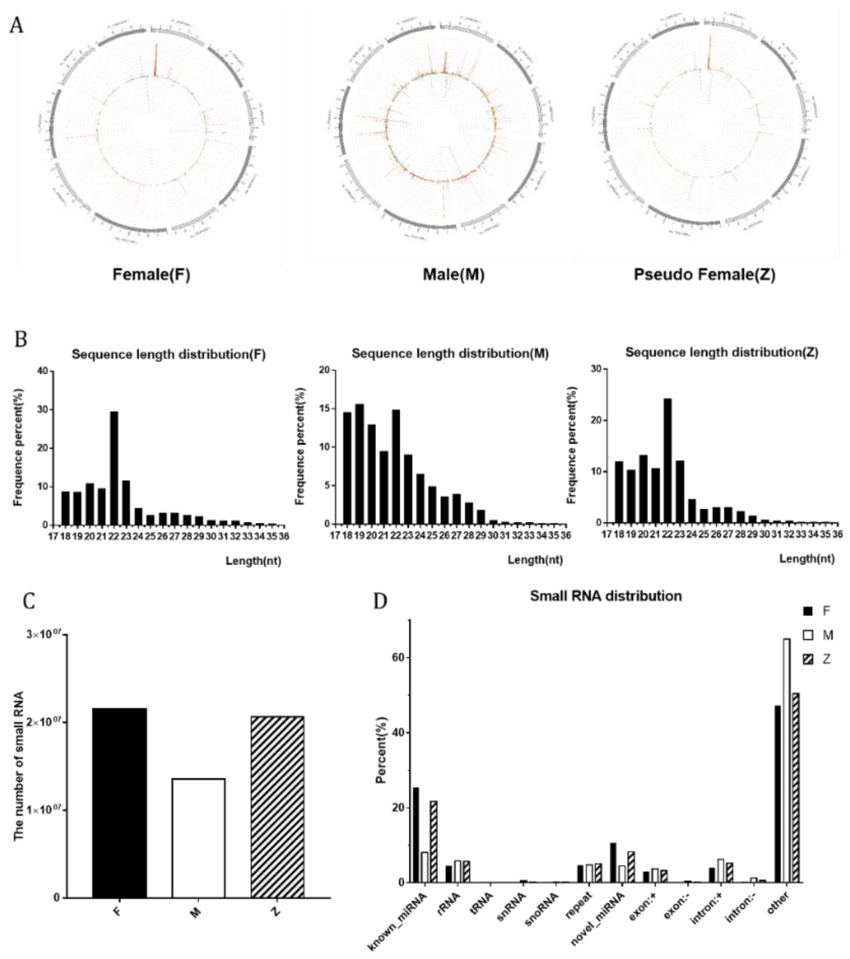 Genes 12 01696 g002 Genes 12 01696 g002
