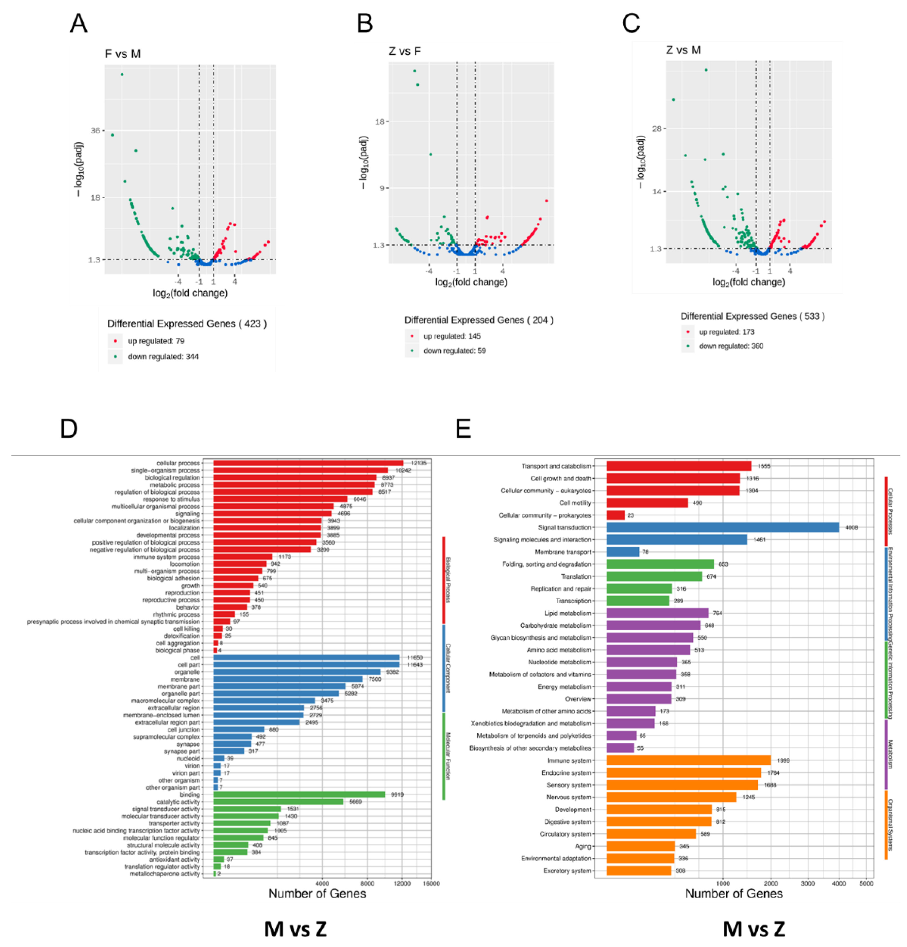 Genes 12 01696 g004 Genes 12 01696 g004