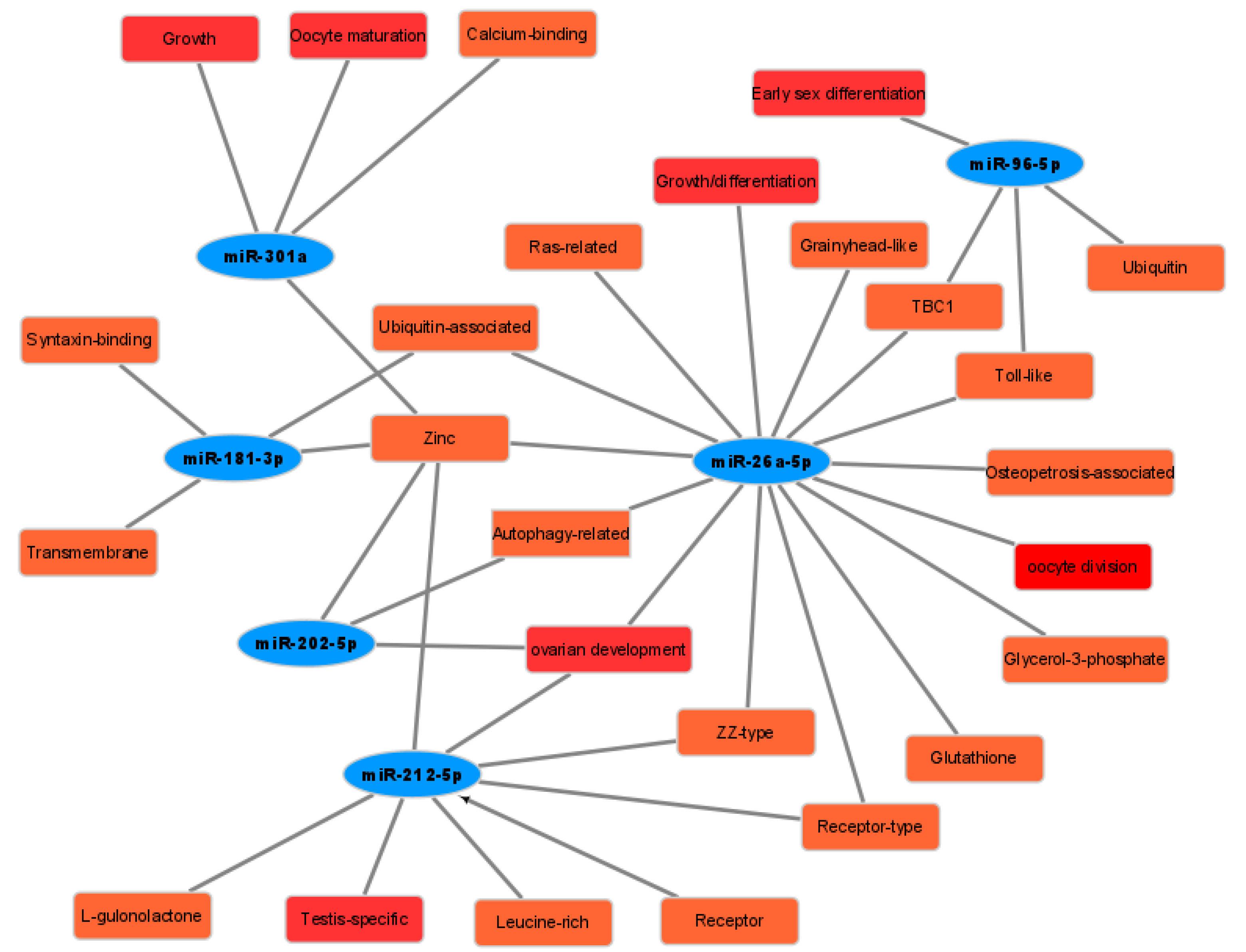 Genes 12 01696 g007 Genes 12 01696 g007