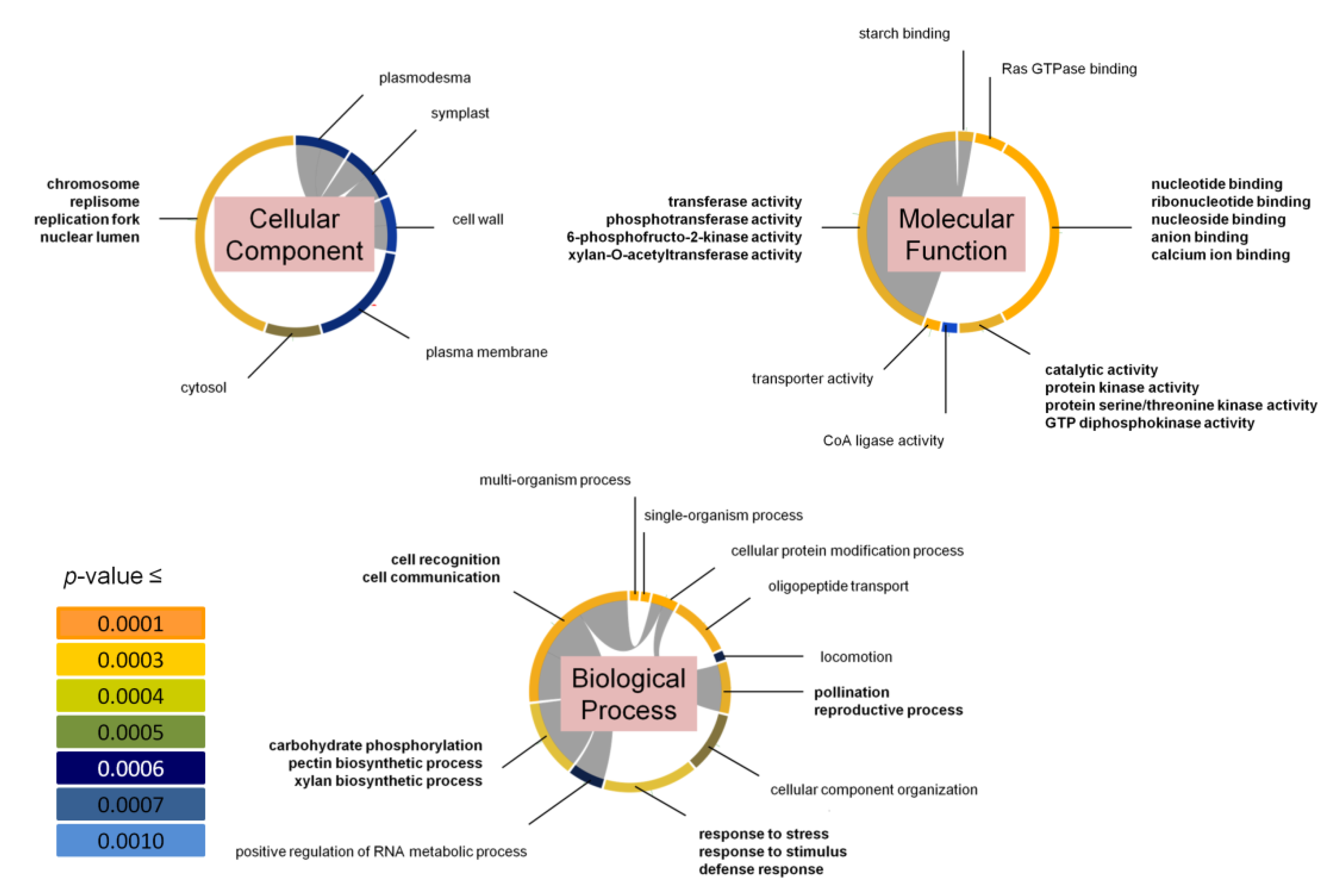 Genes 12 01700 g005 550