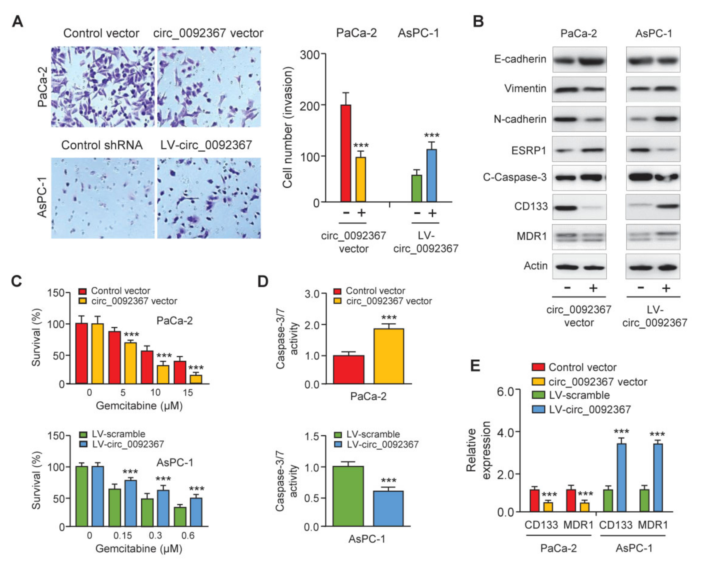 Genes 12 01701 g003 550