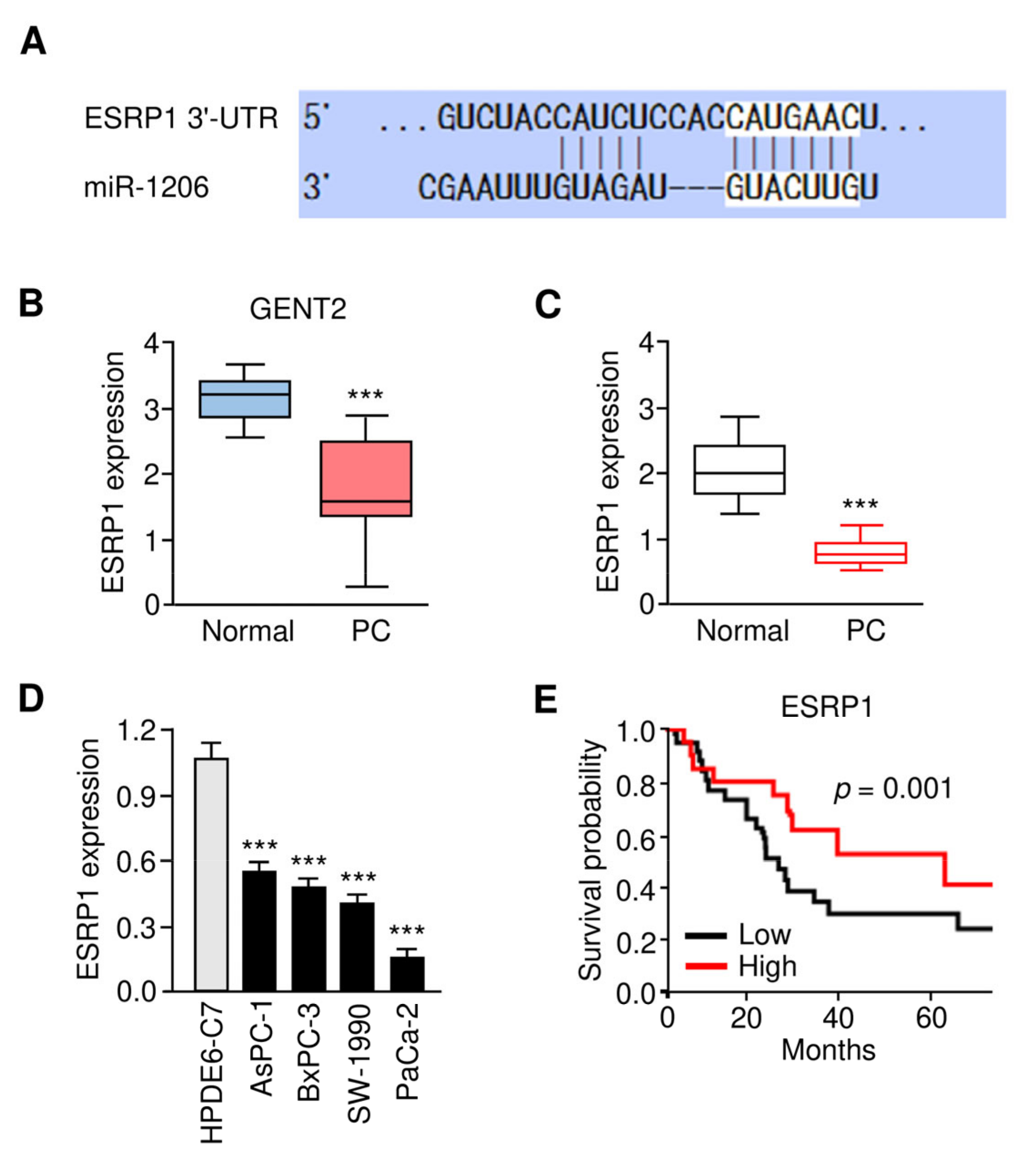Genes 12 01701 g006 550