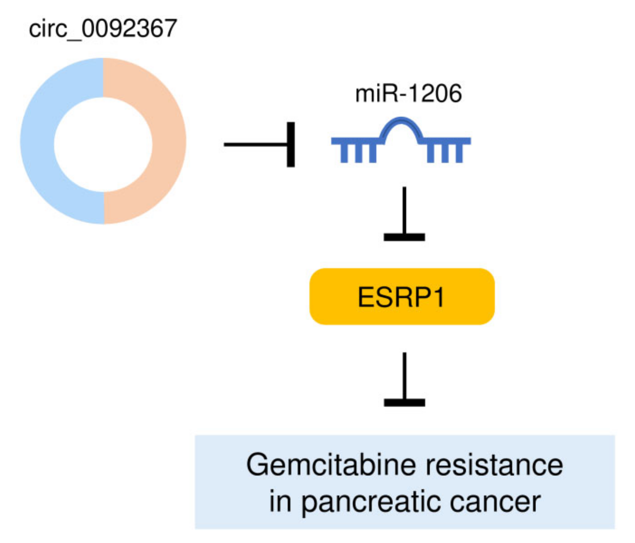 Genes 12 01701 g010 550