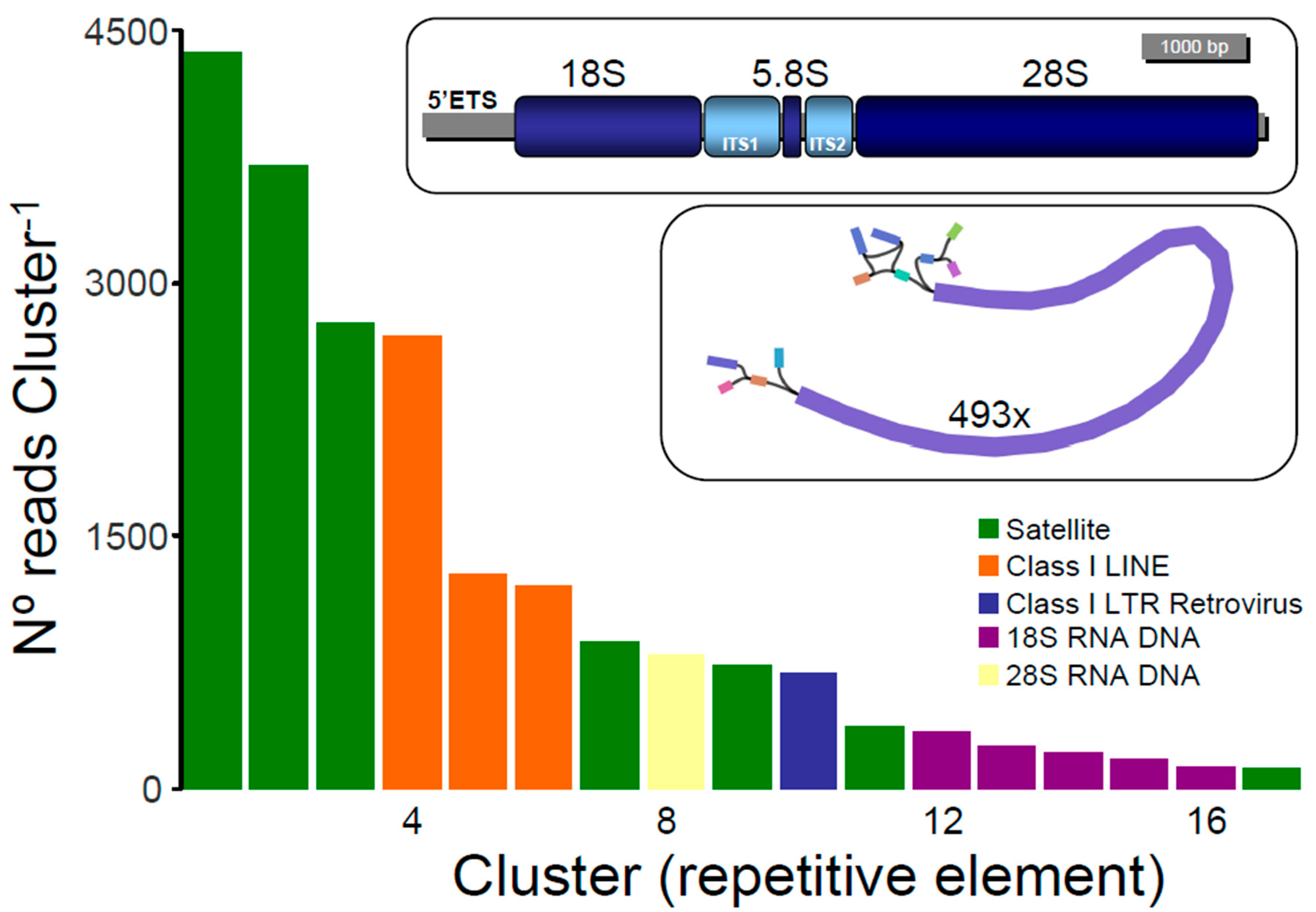 Genes 12 01710 g002 550