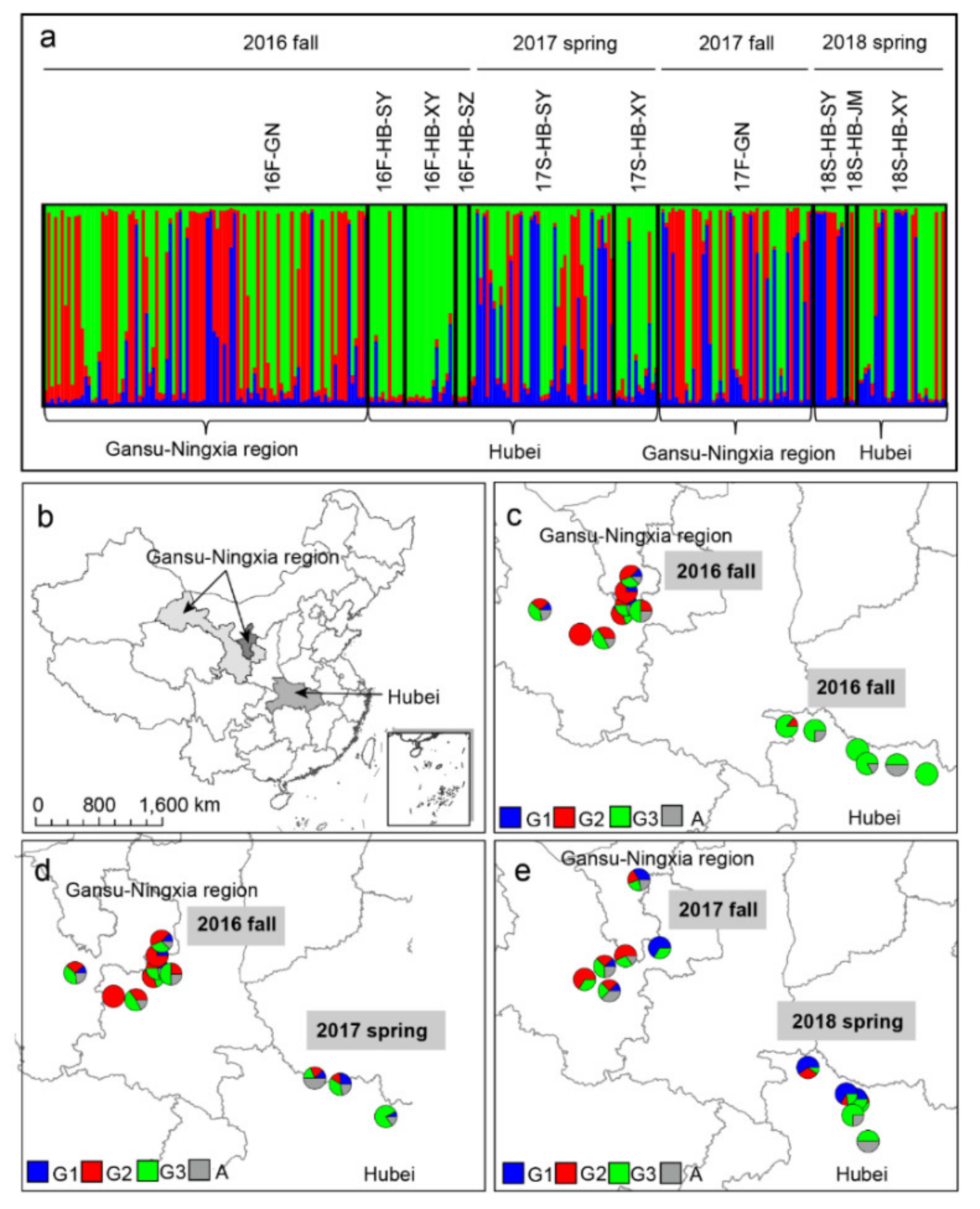 Genes 12 01712 g004