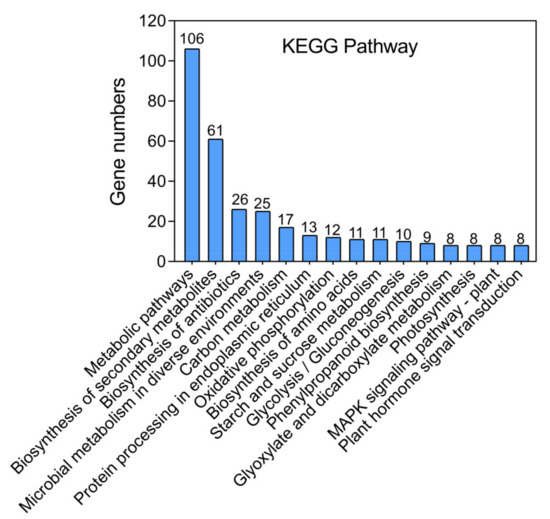 An Integrative Transcriptomic and Metabolomic Analysis of