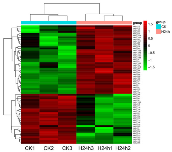 セール商品が満載 Transcriptomic Integrative An and of Analysis Metabolomic ジャケット・アウター