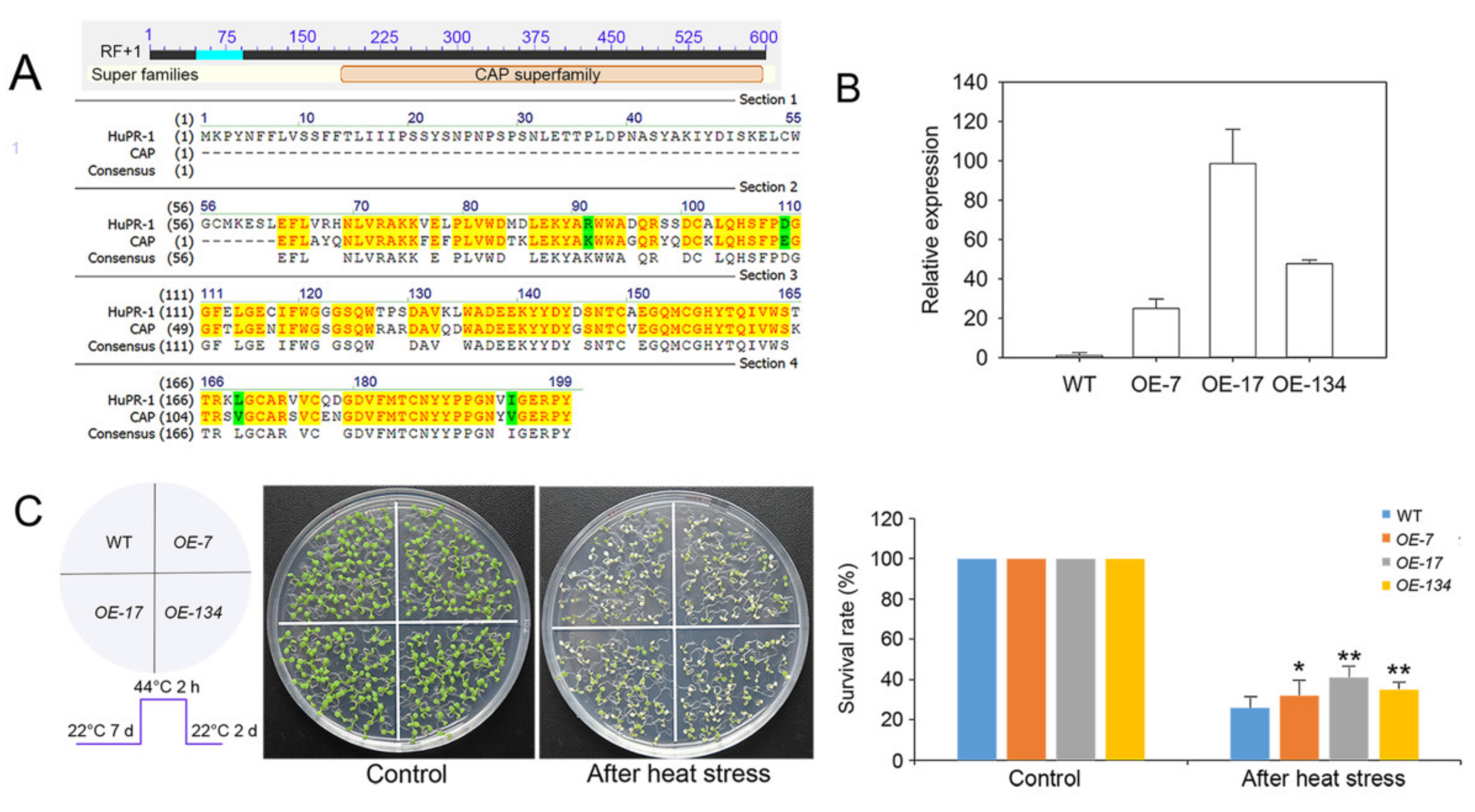 Genes 12 01714 g008 550