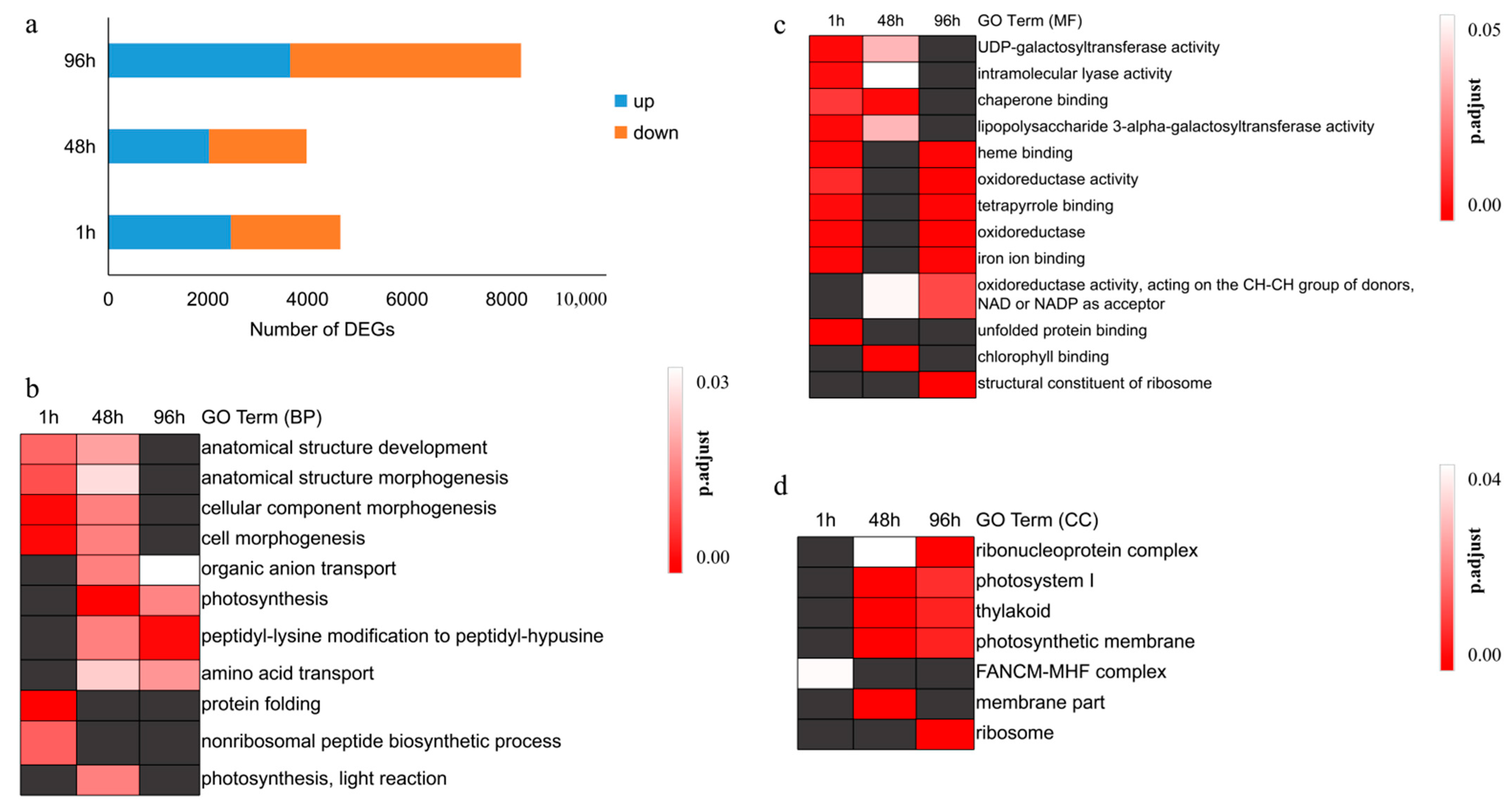 Genes 12 01716 g001