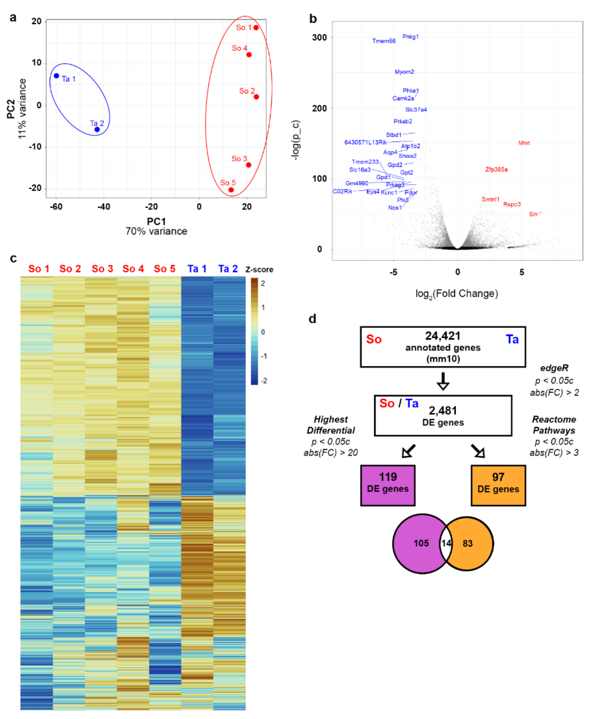 Genes 12 01718 g001 Genes 12 01718 g001