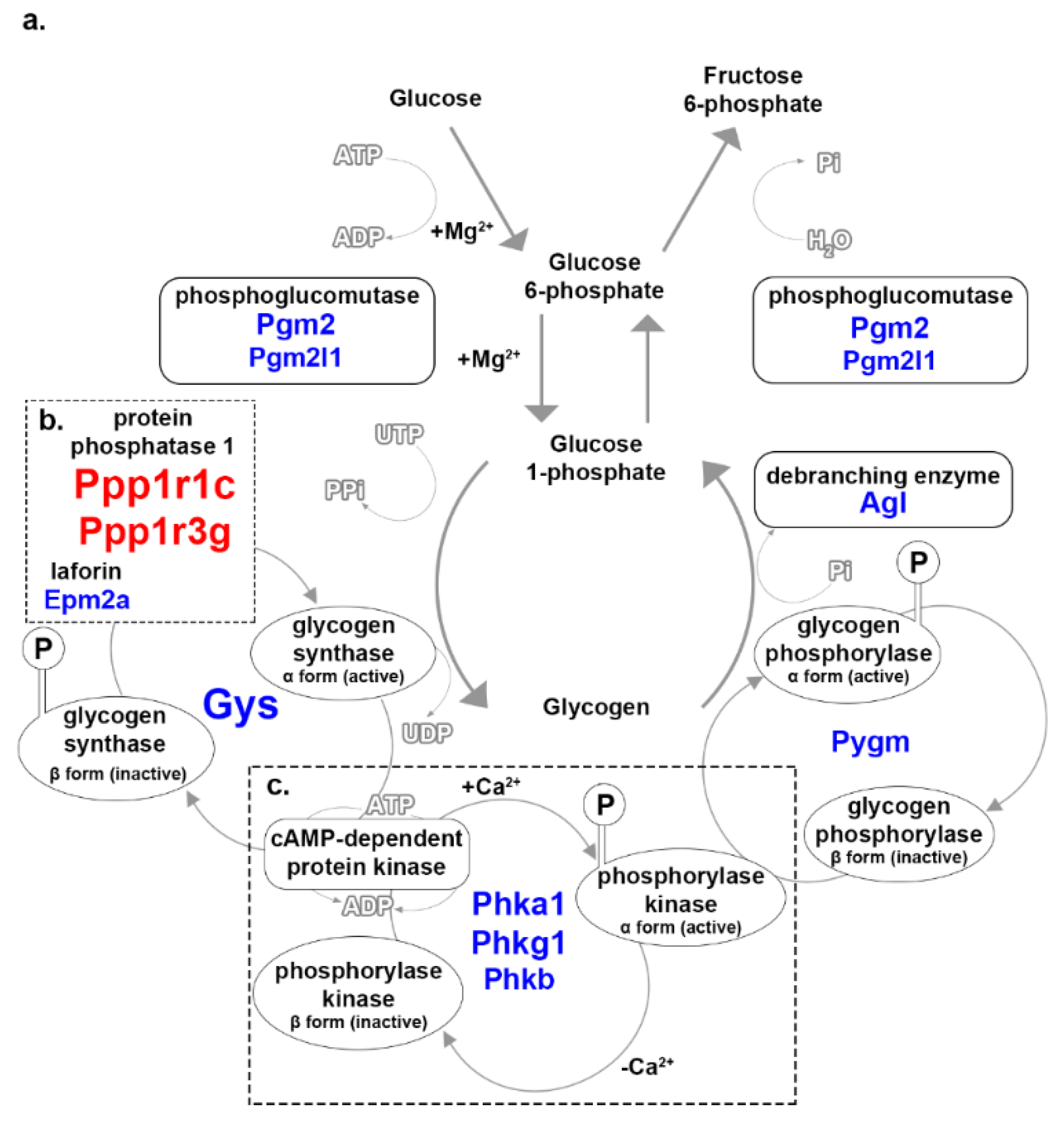 Genes 12 01718 g003 Genes 12 01718 g003