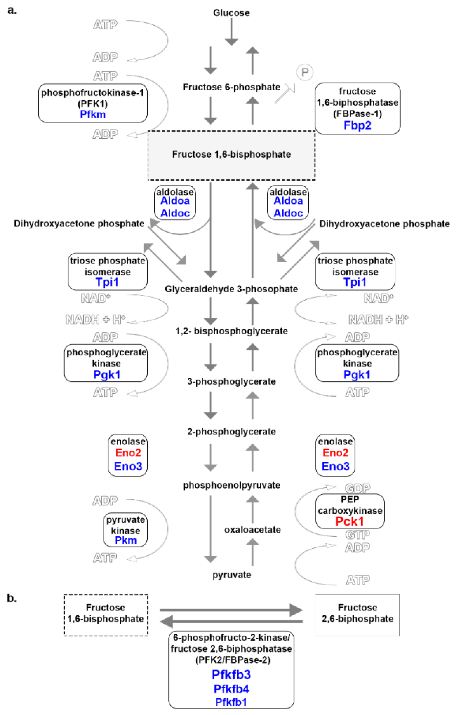Genes 12 01718 g004 Genes 12 01718 g004