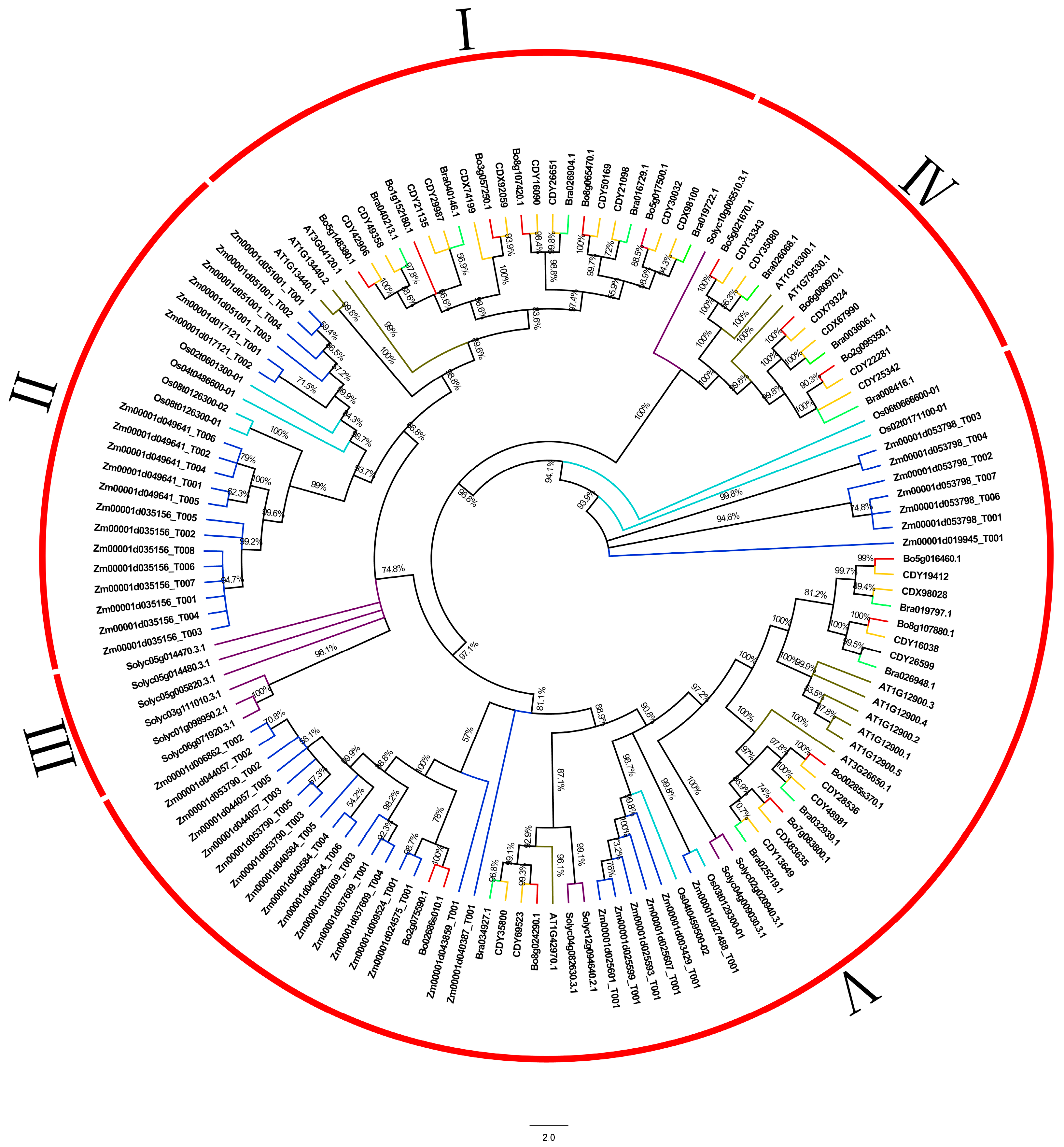 Genes 12 01719 g001 Genes 12 01719 g001