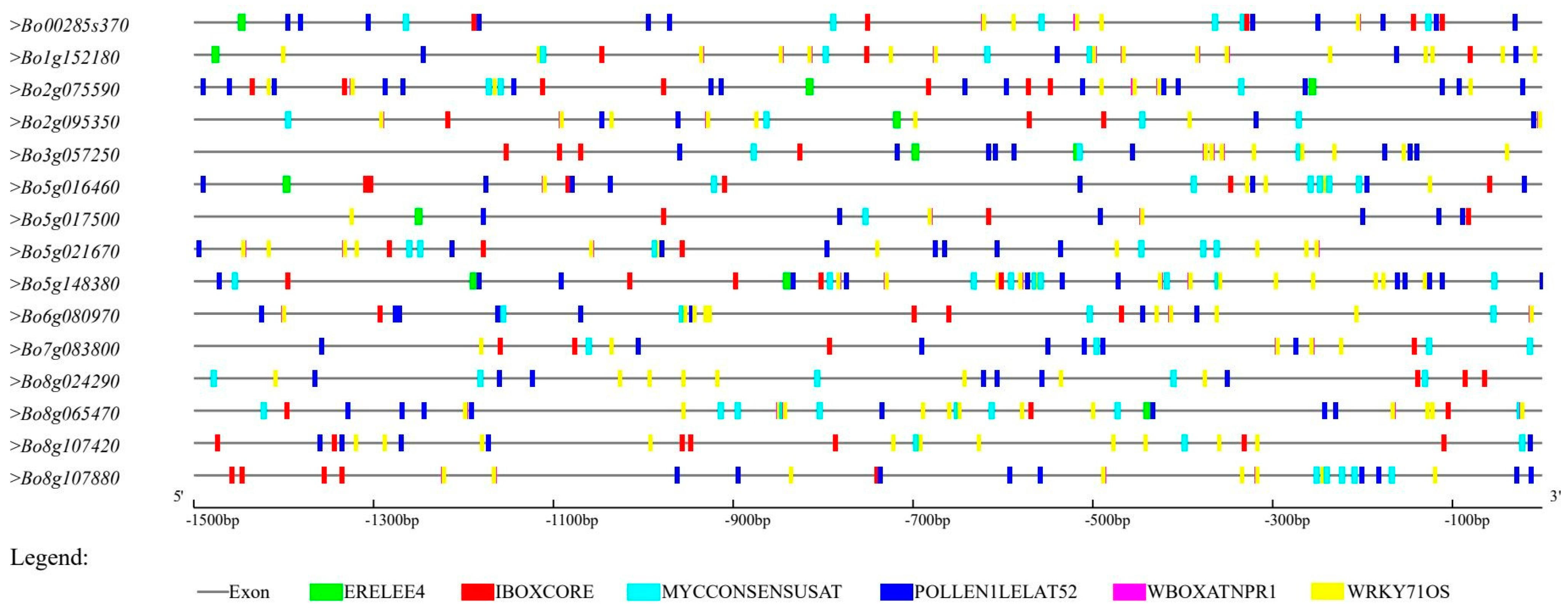 Genes 12 01719 g004 Genes 12 01719 g004