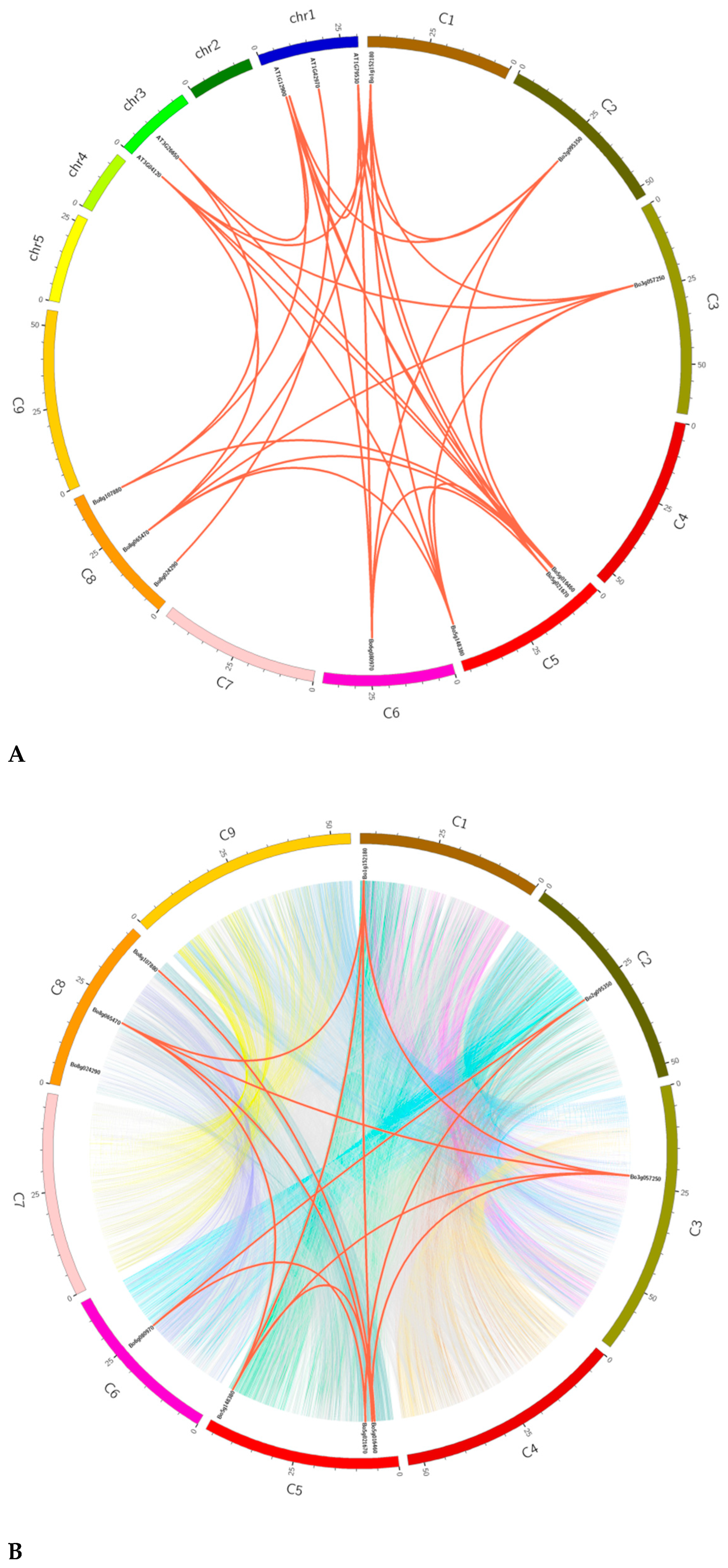Genes 12 01719 g005 Genes 12 01719 g005