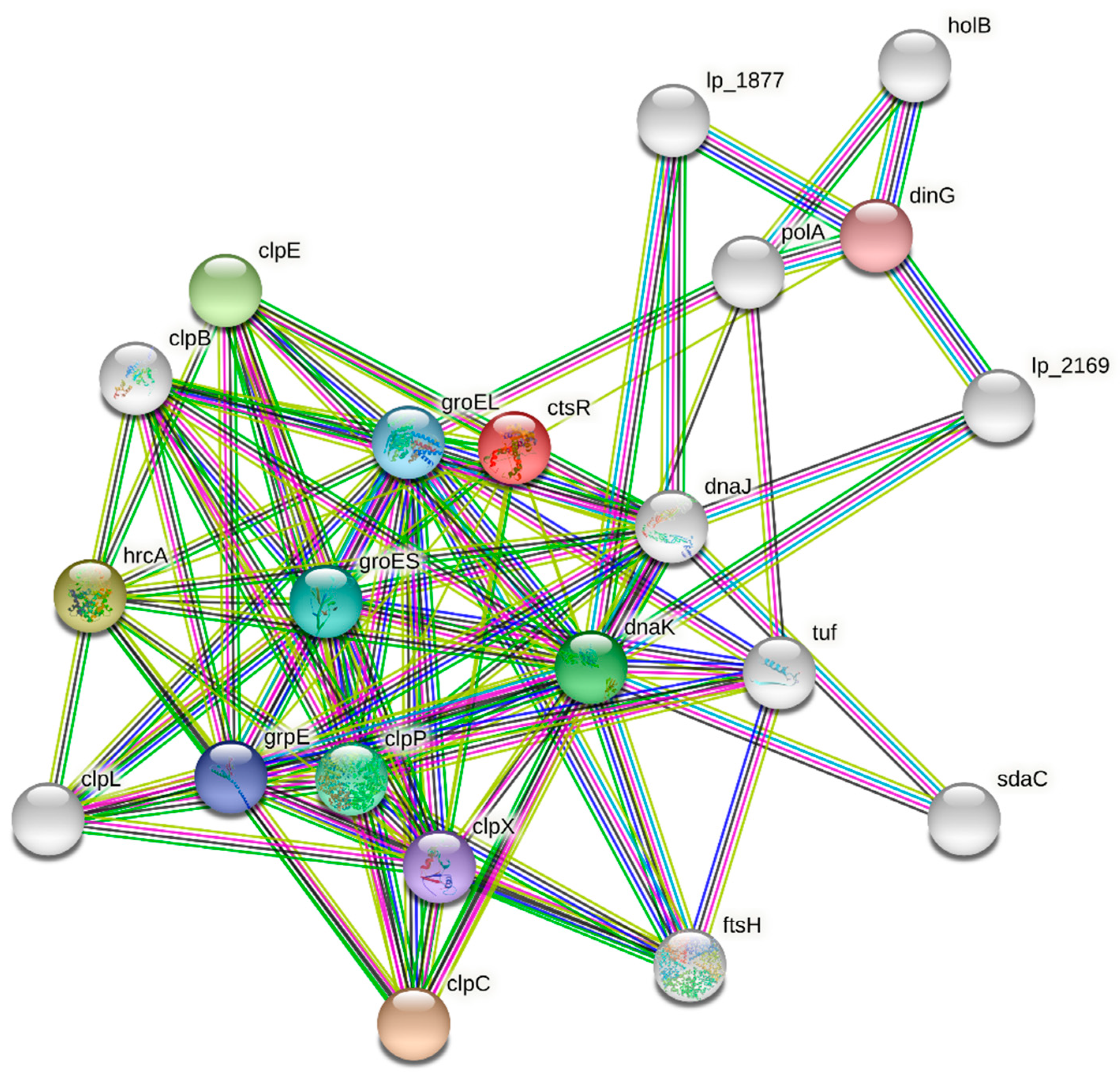 Genes 12 01720 g005 Genes 12 01720 g005