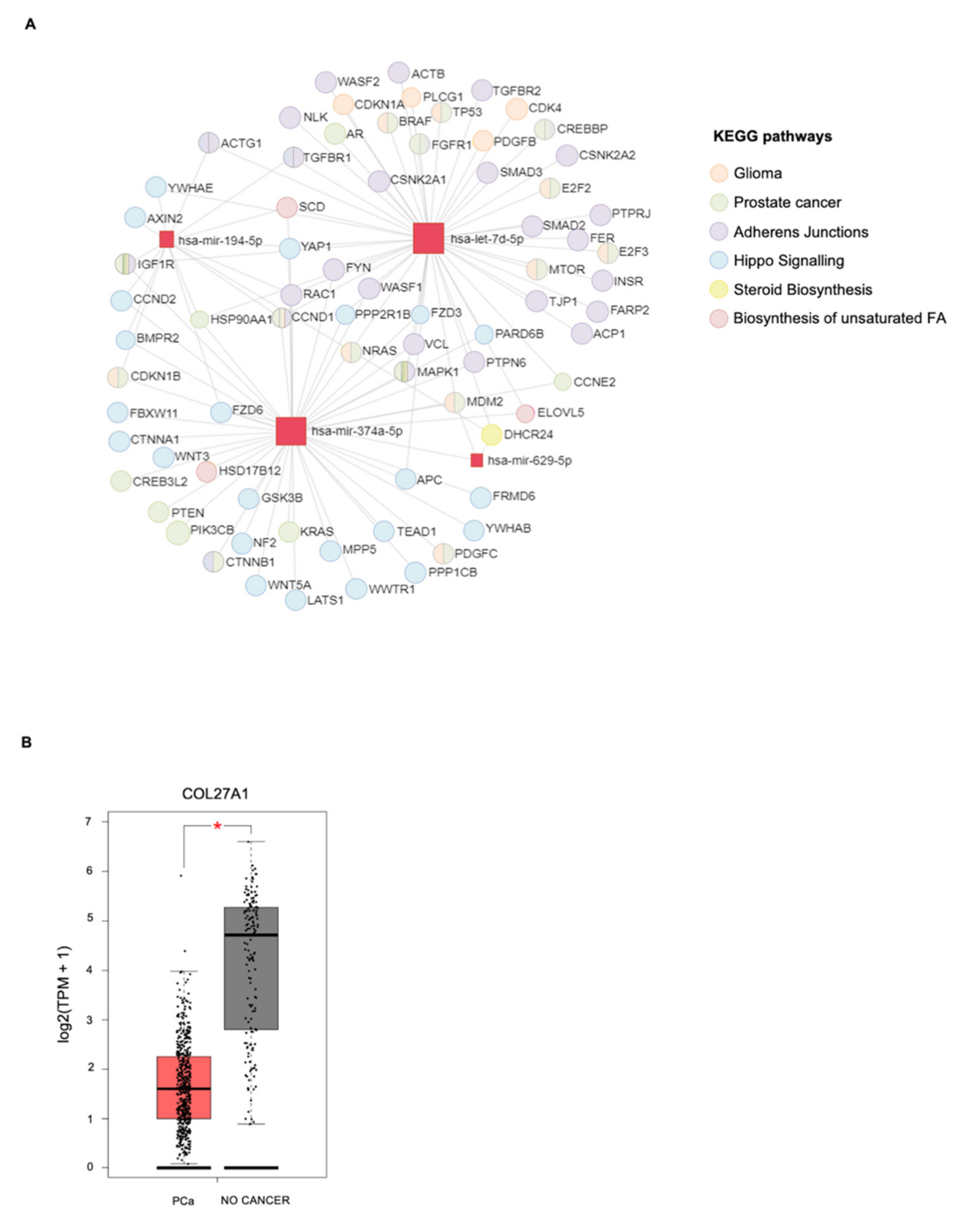 Genes 12 01726 g006 Genes 12 01726 g006