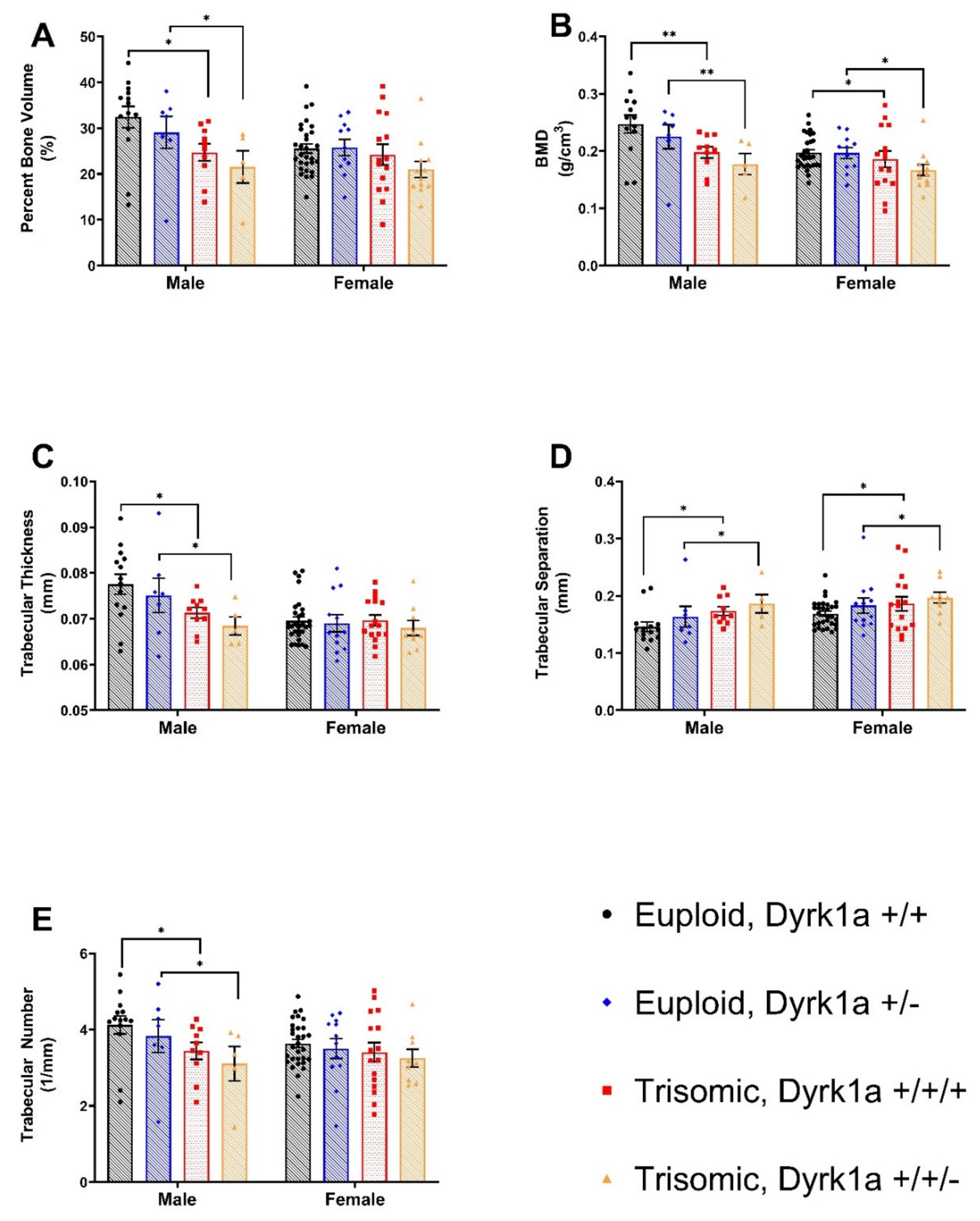 Genes 12 01729 g001 Genes 12 01729 g001