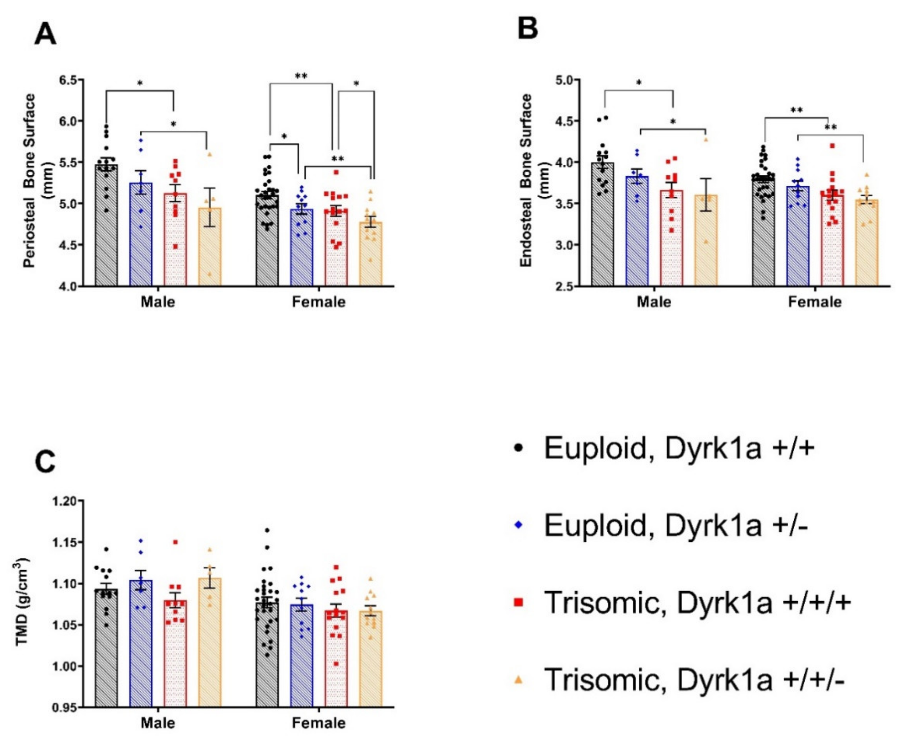 Genes 12 01729 g003 Genes 12 01729 g003